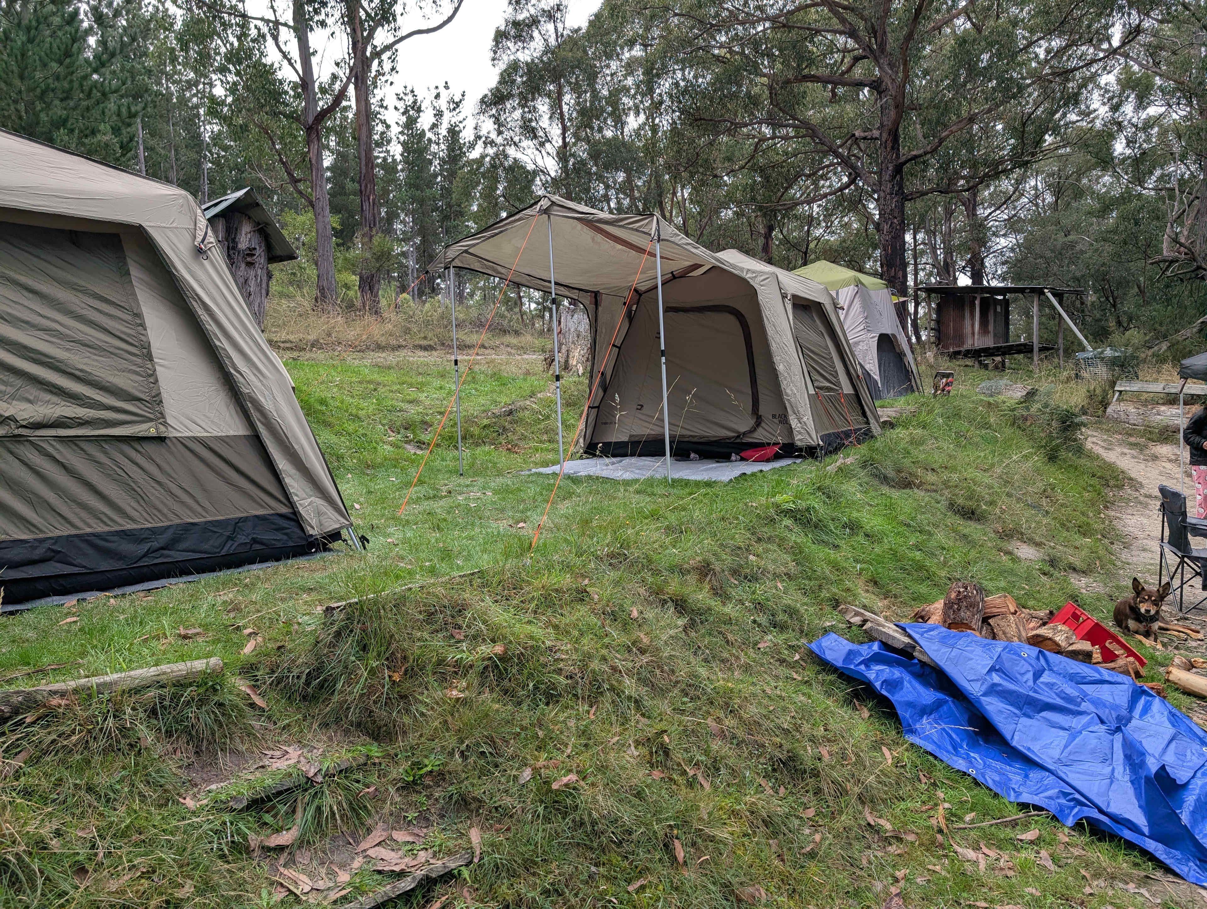 Kookaburra Ridge Farm Camp