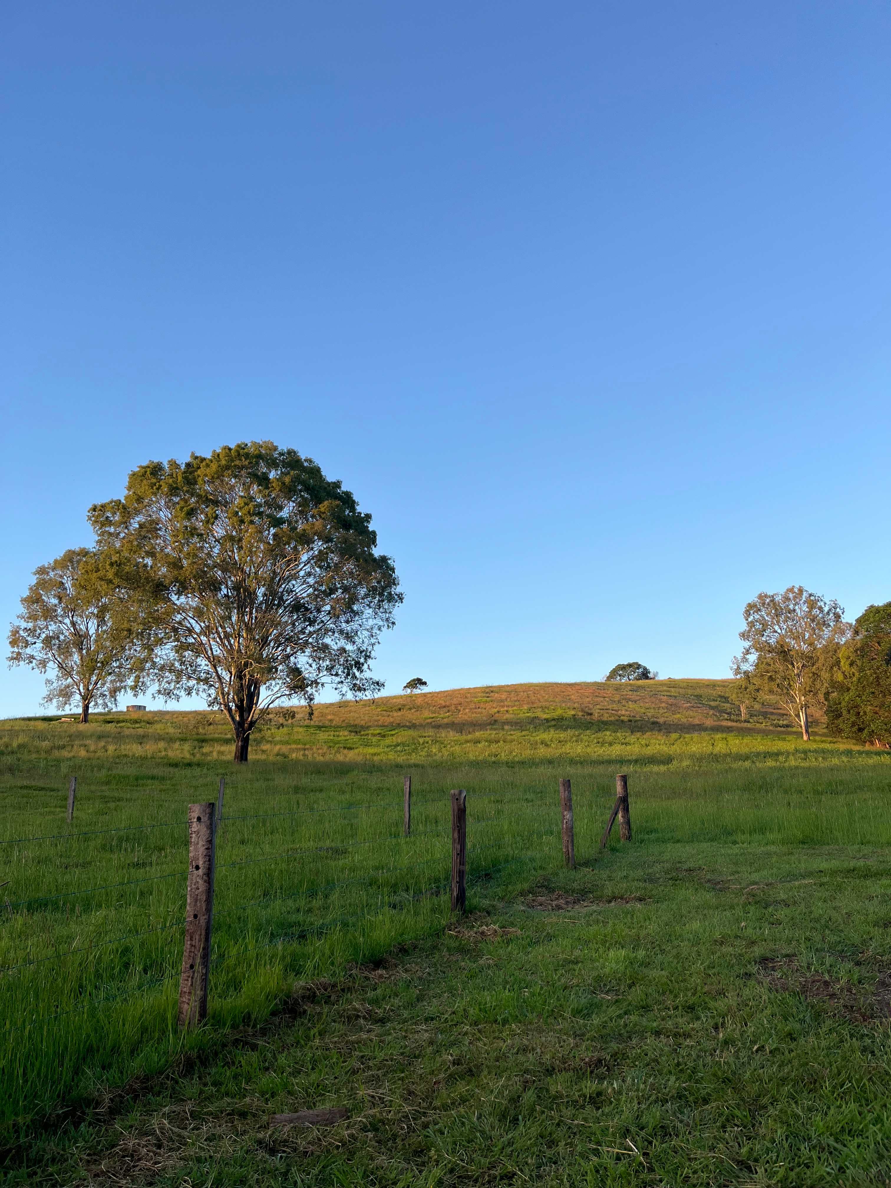 Little Creek Camp Grounds