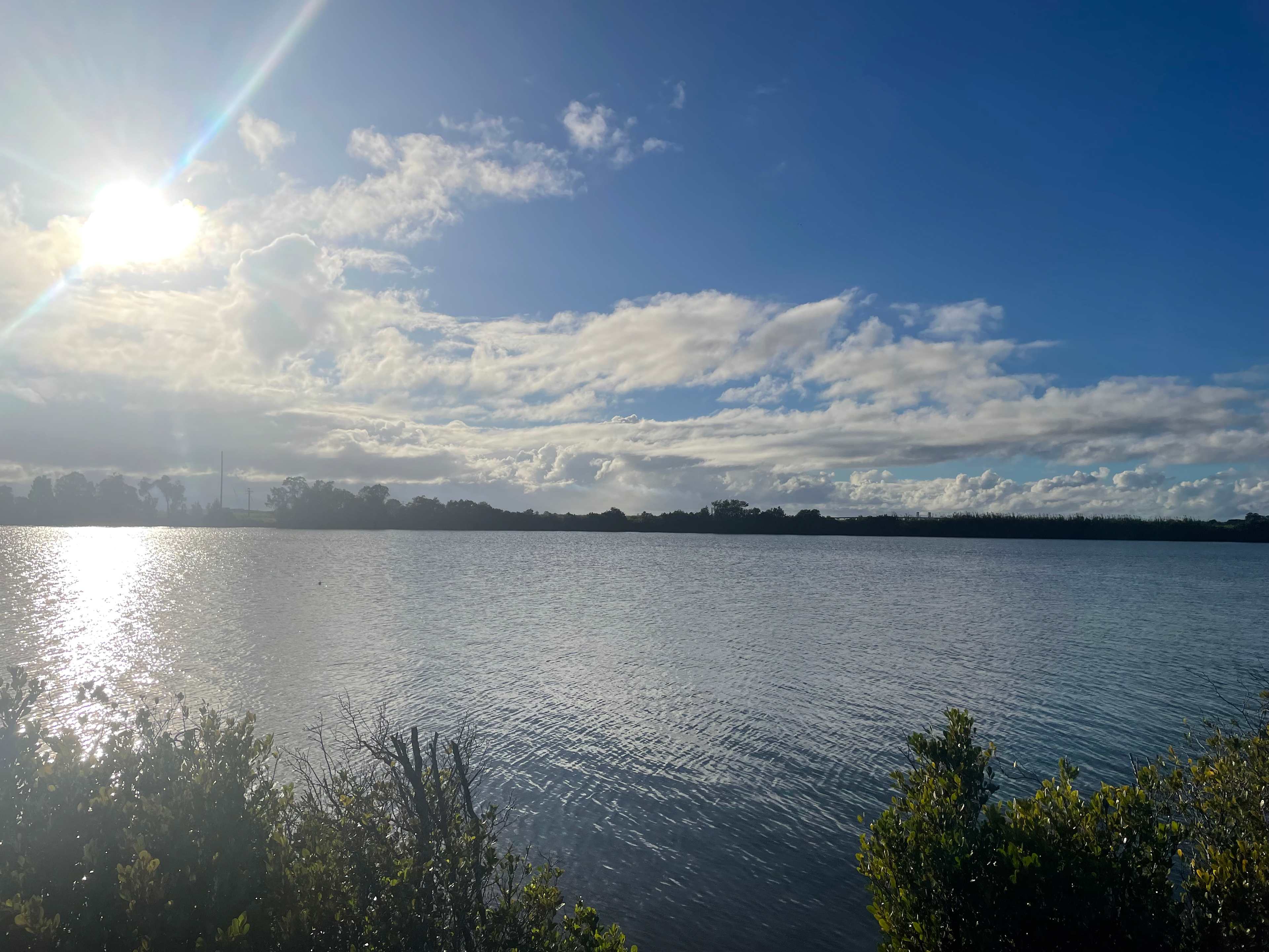 River Views - Ashby Island Paradise