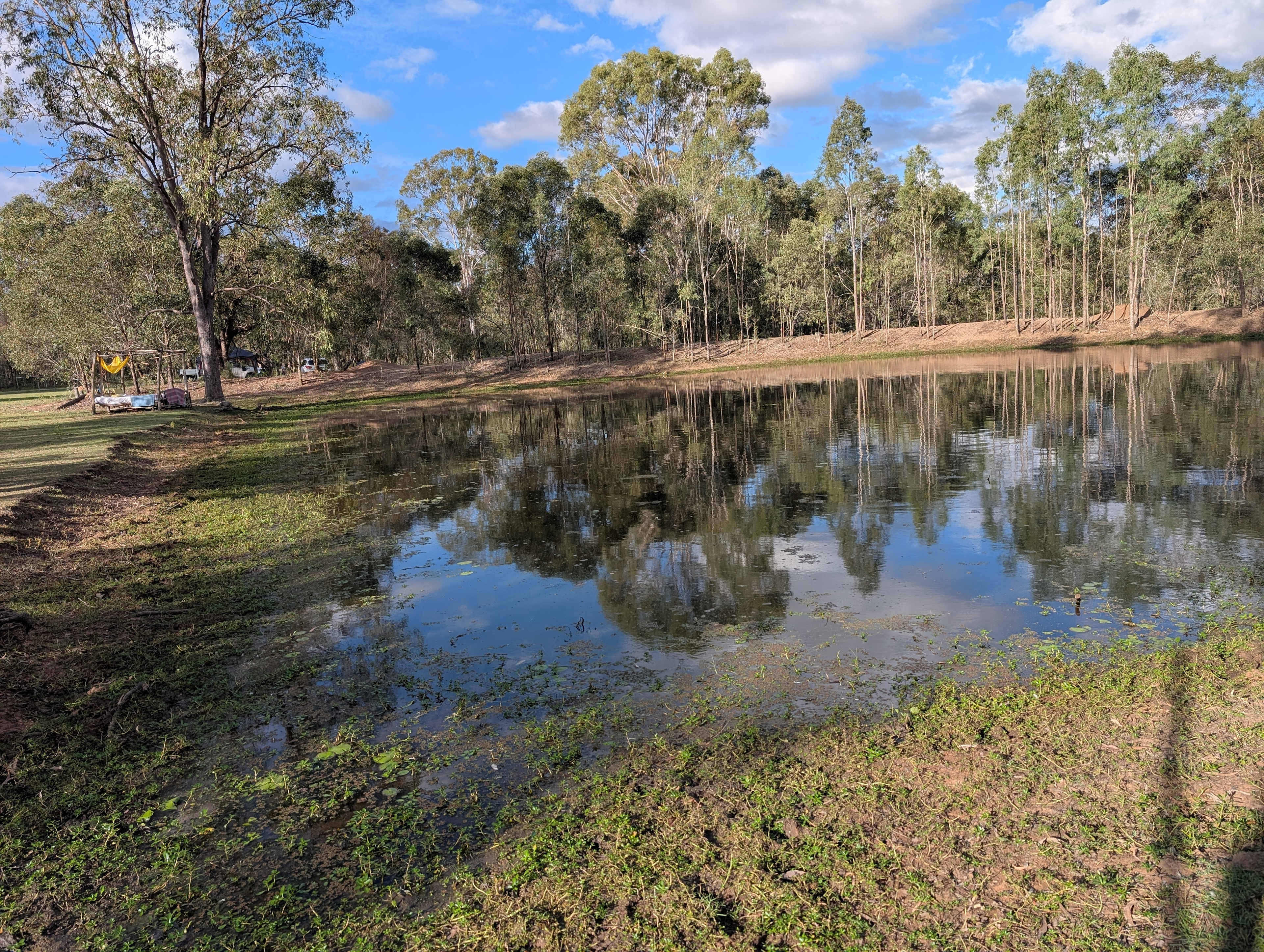 Seehorse Meadows