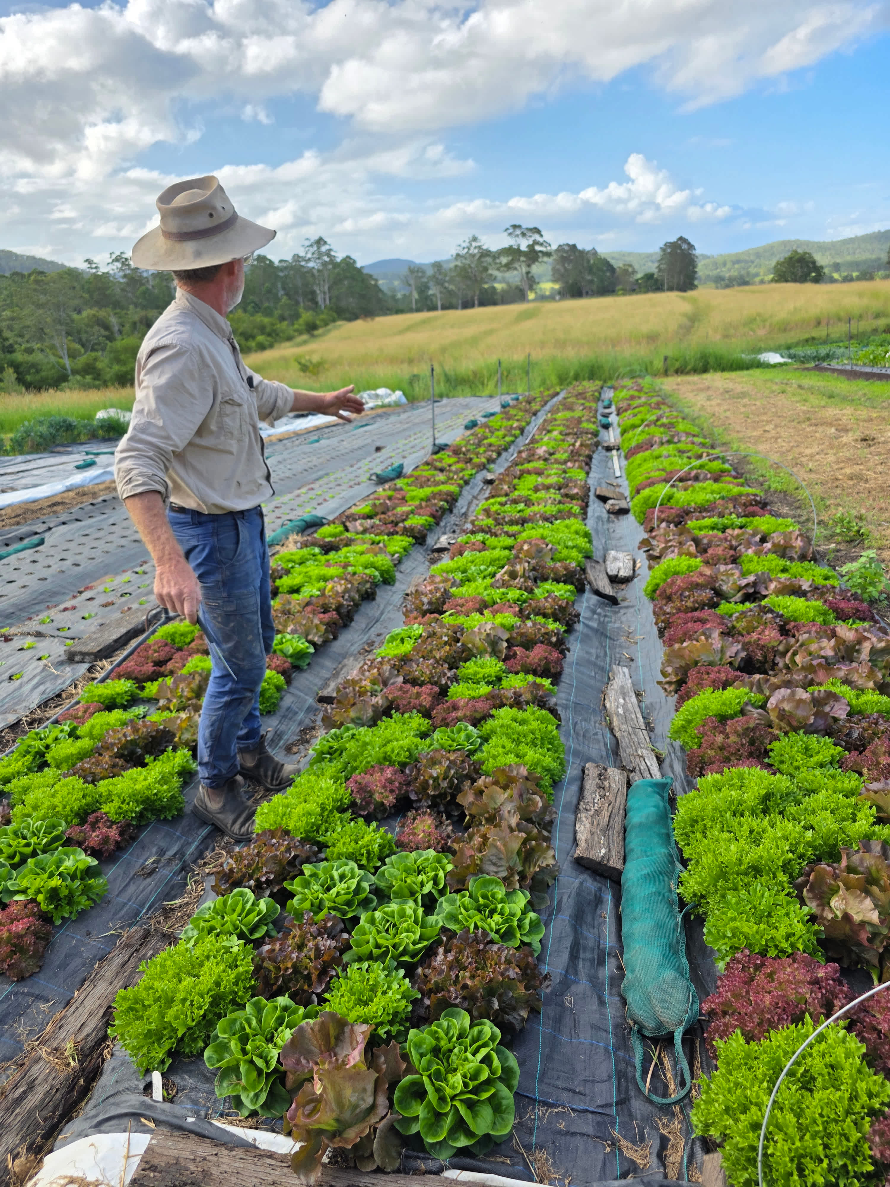 Homegrown Organics Farm