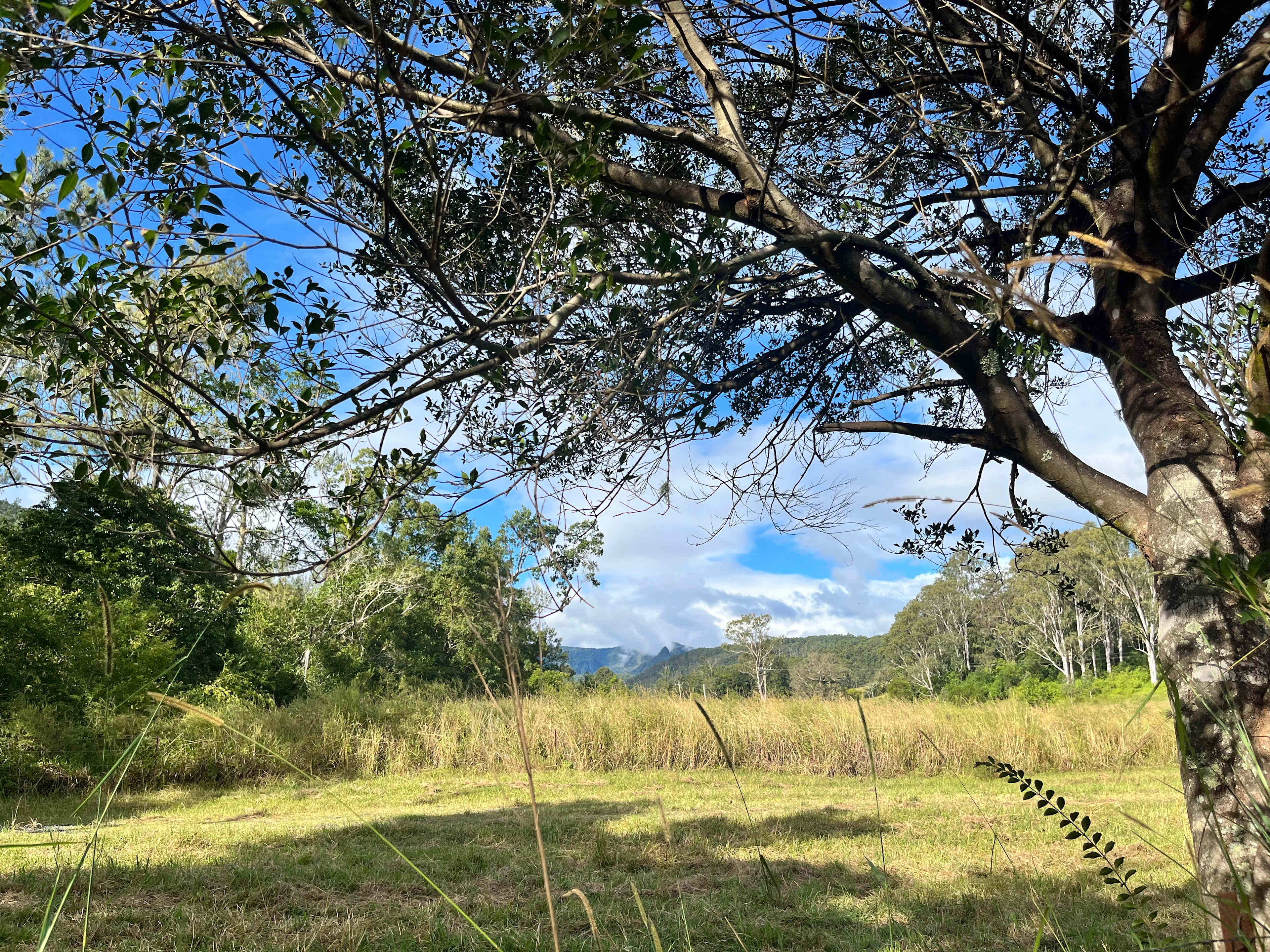 Warrazambil Creek Camp