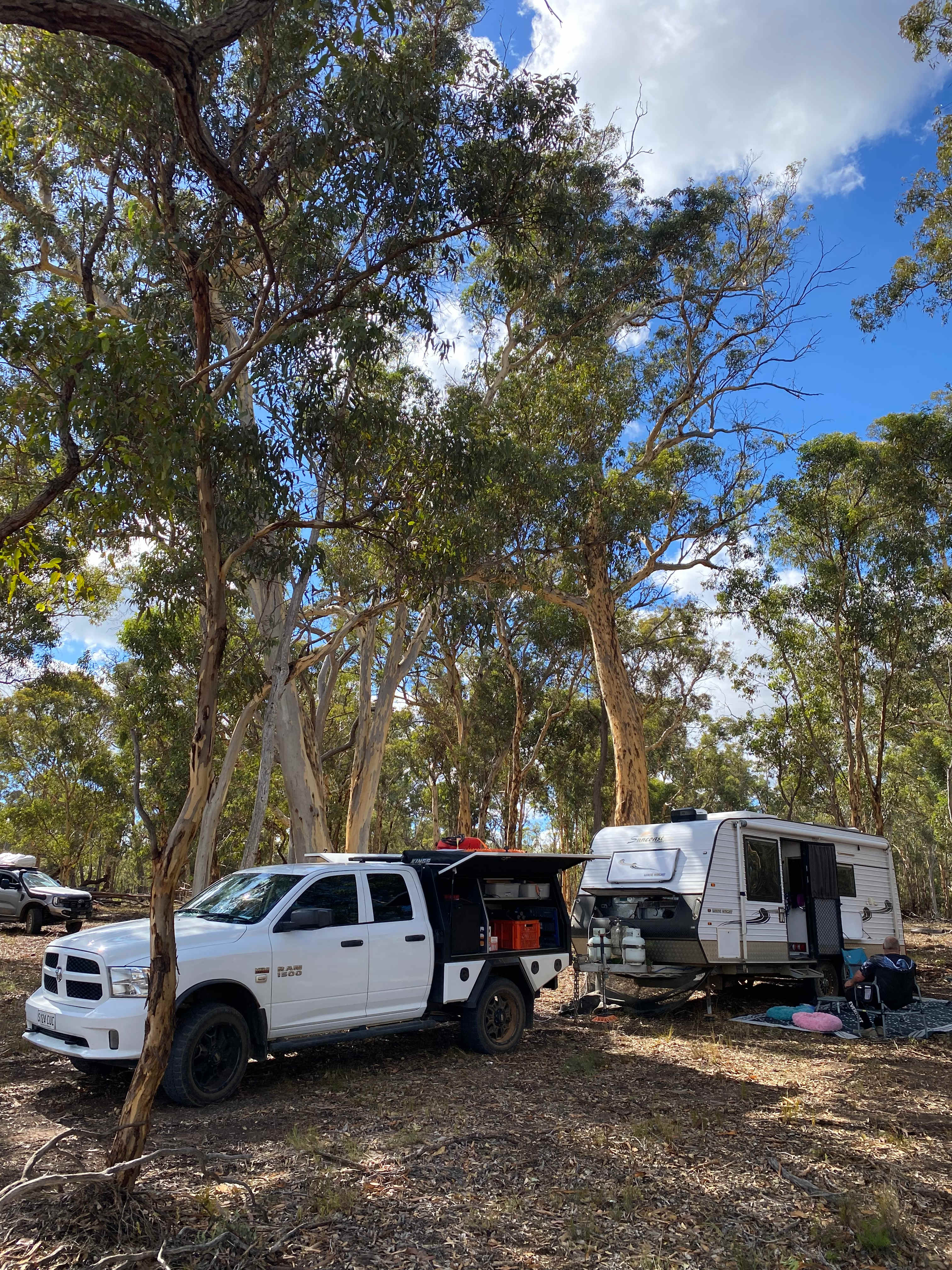Home amongst the gum trees 
