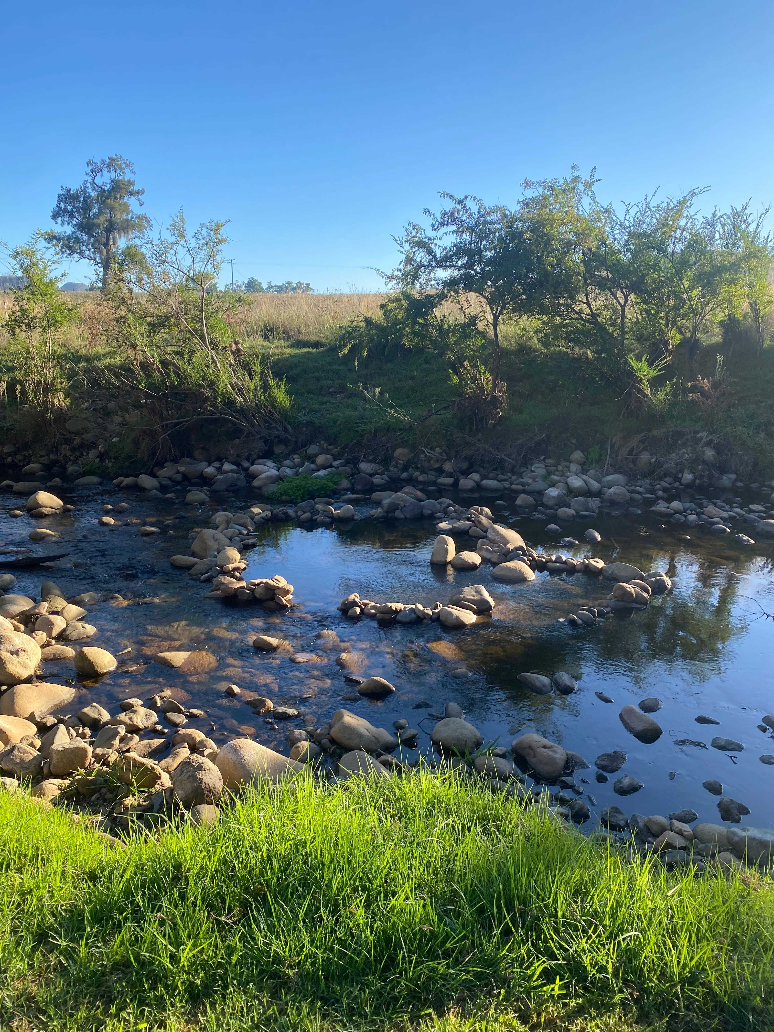 Omadale Brook, Barrington Tops