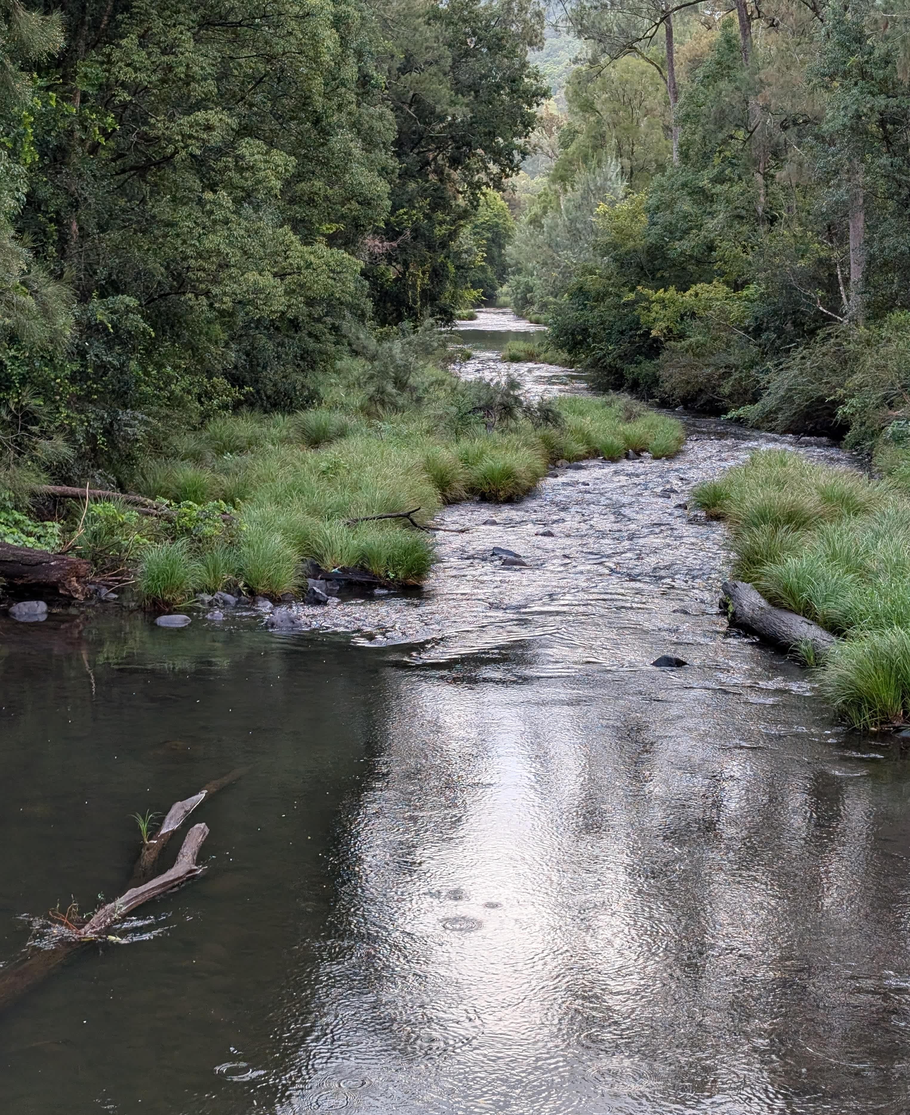 Mt Lion Farm Secluded Creek Camping