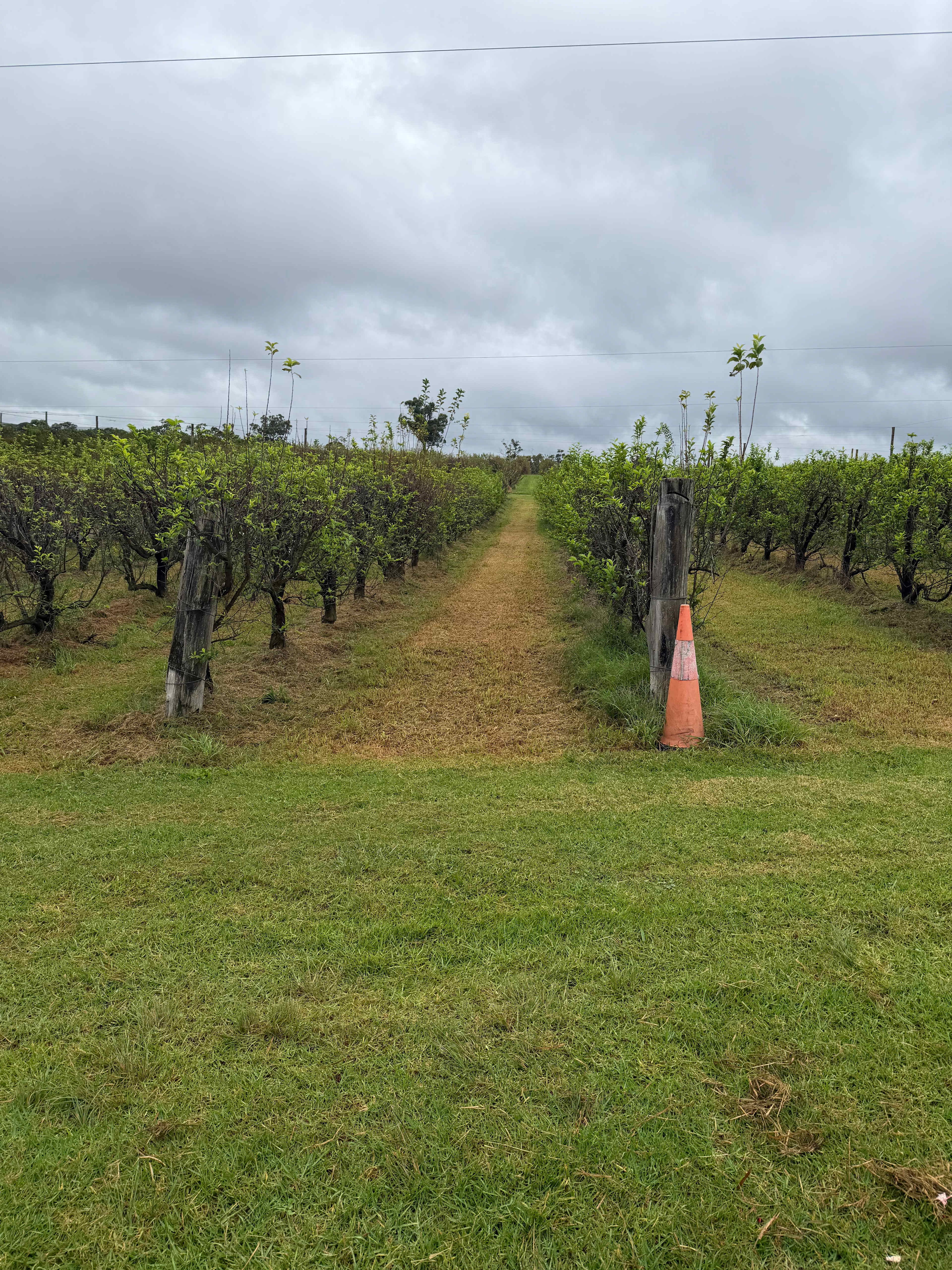 Canoelands Orchard Camping