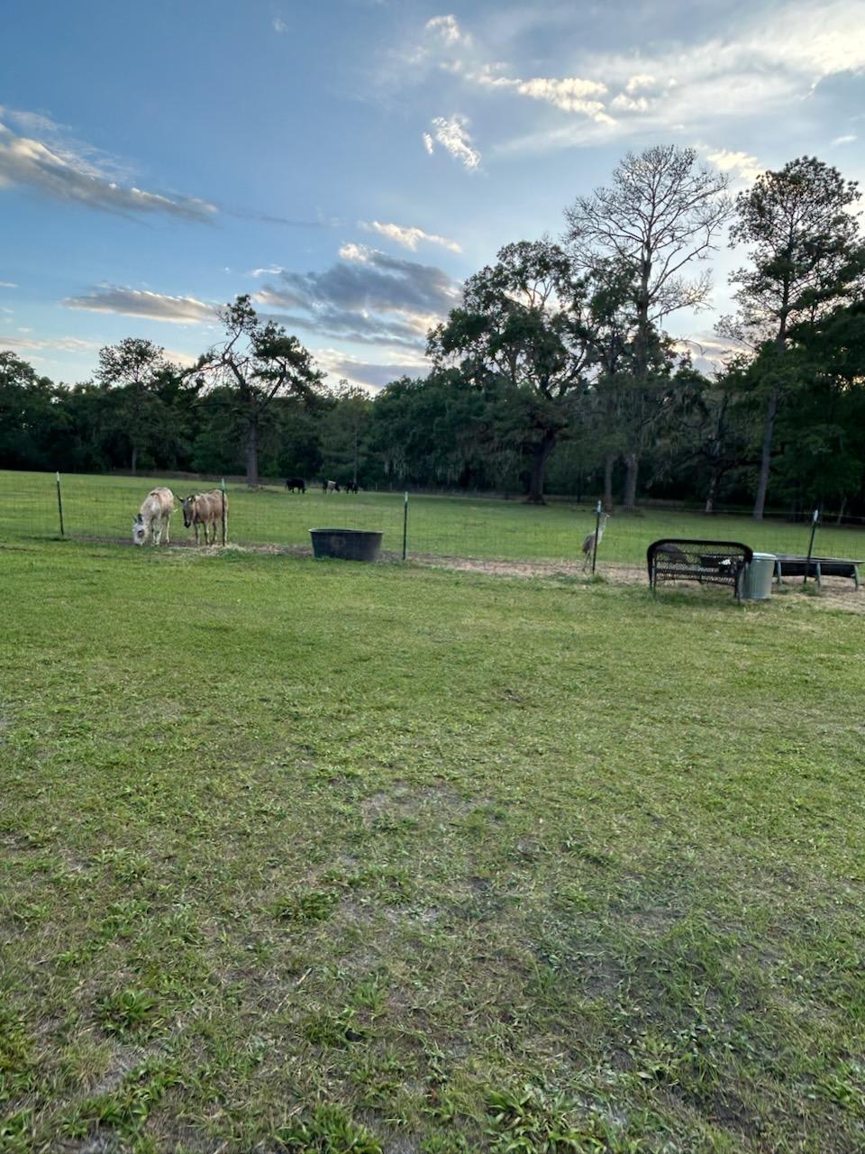 Honey Bee Ranch