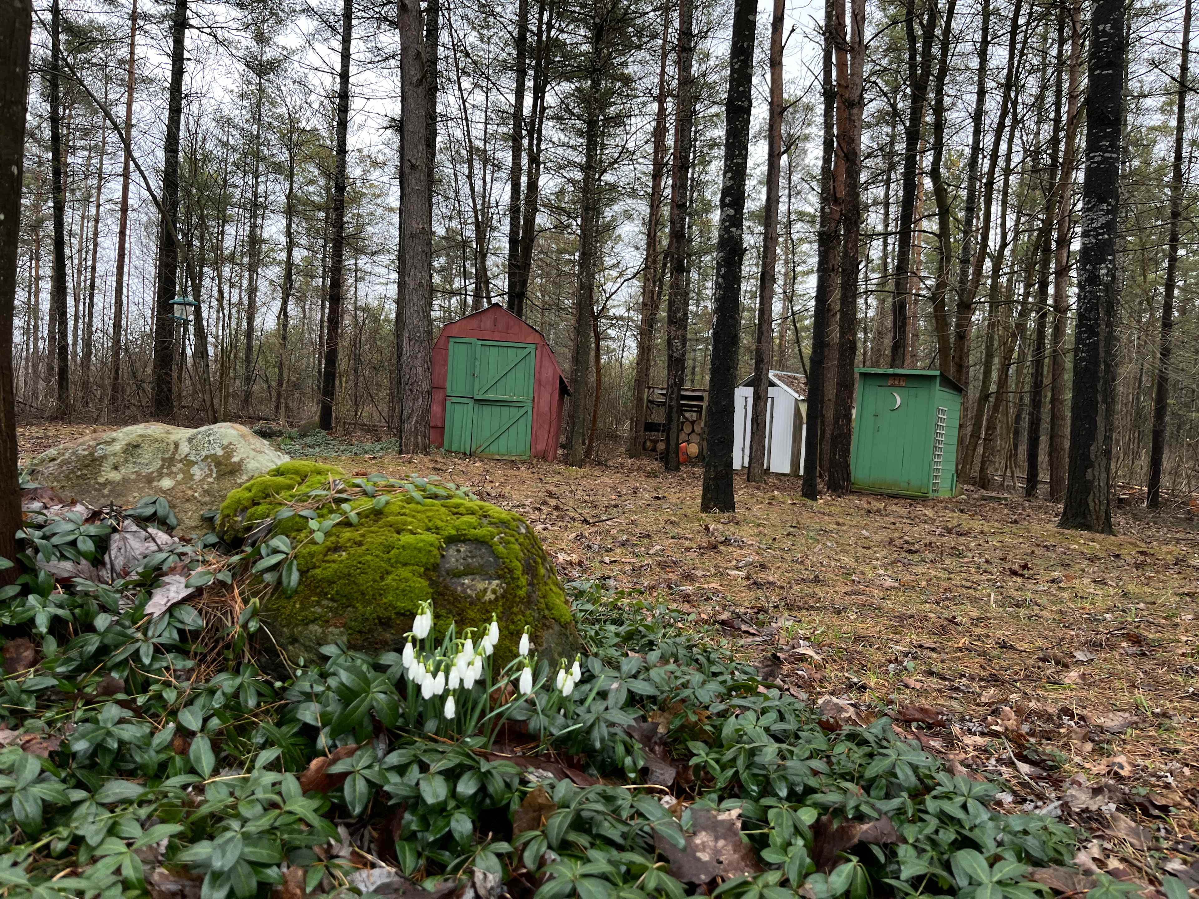 Pinehaven Camping And Cabin