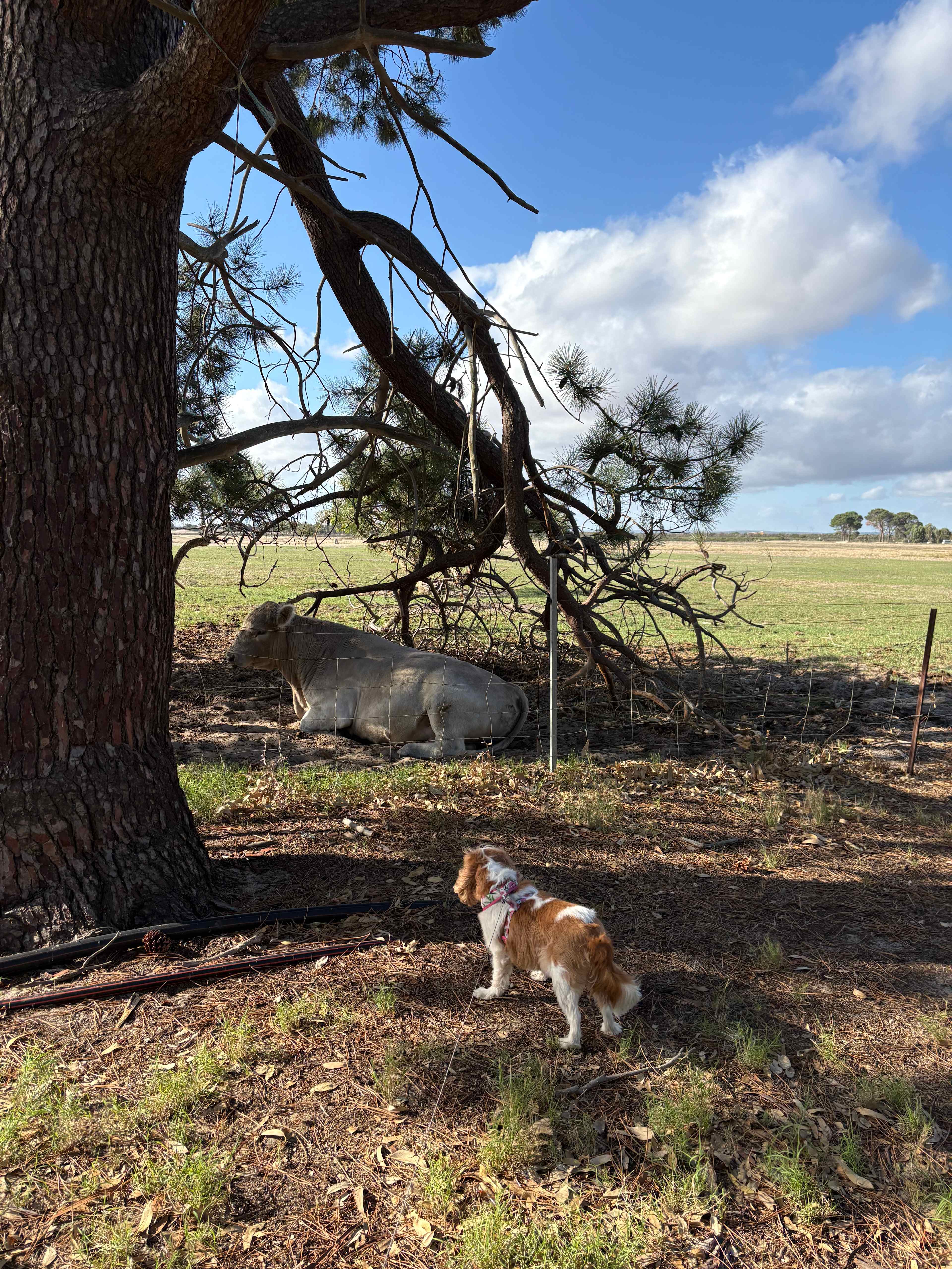 Nambung Station Stay