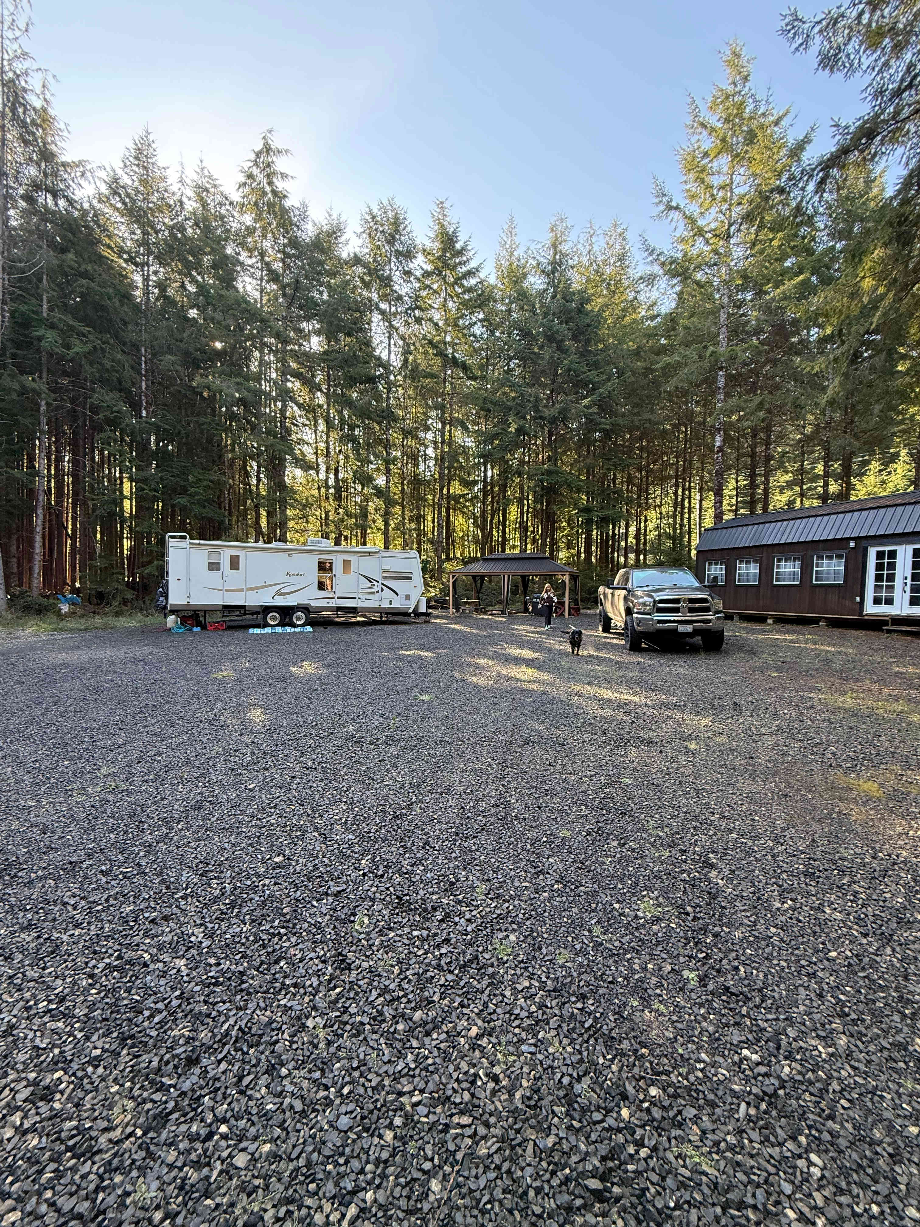 Camp Morning Wood