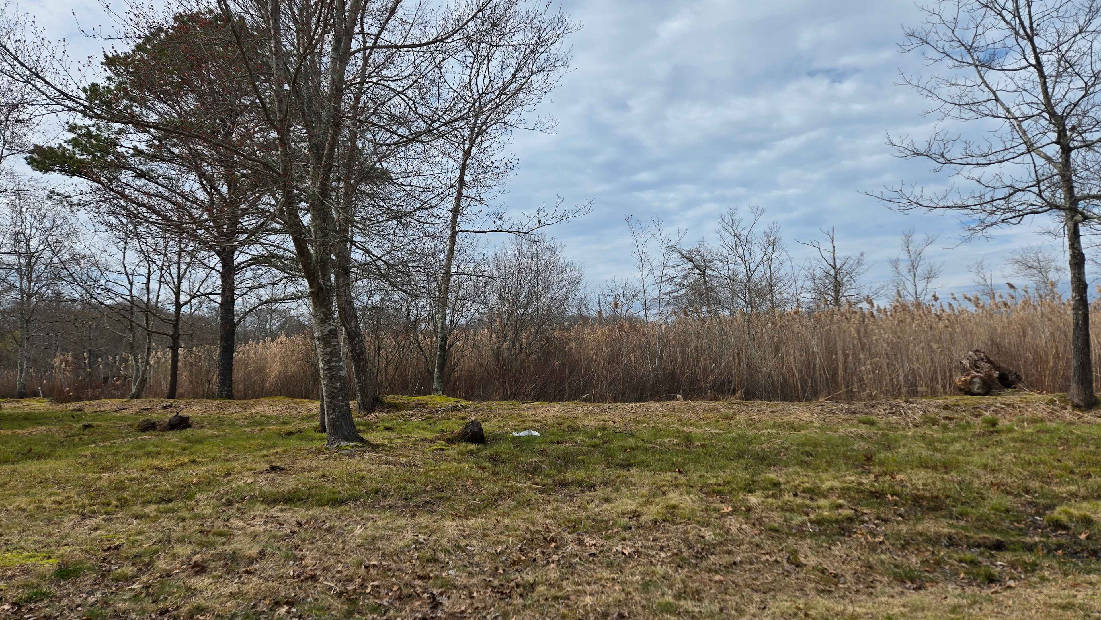 Peconic River Campgrounds