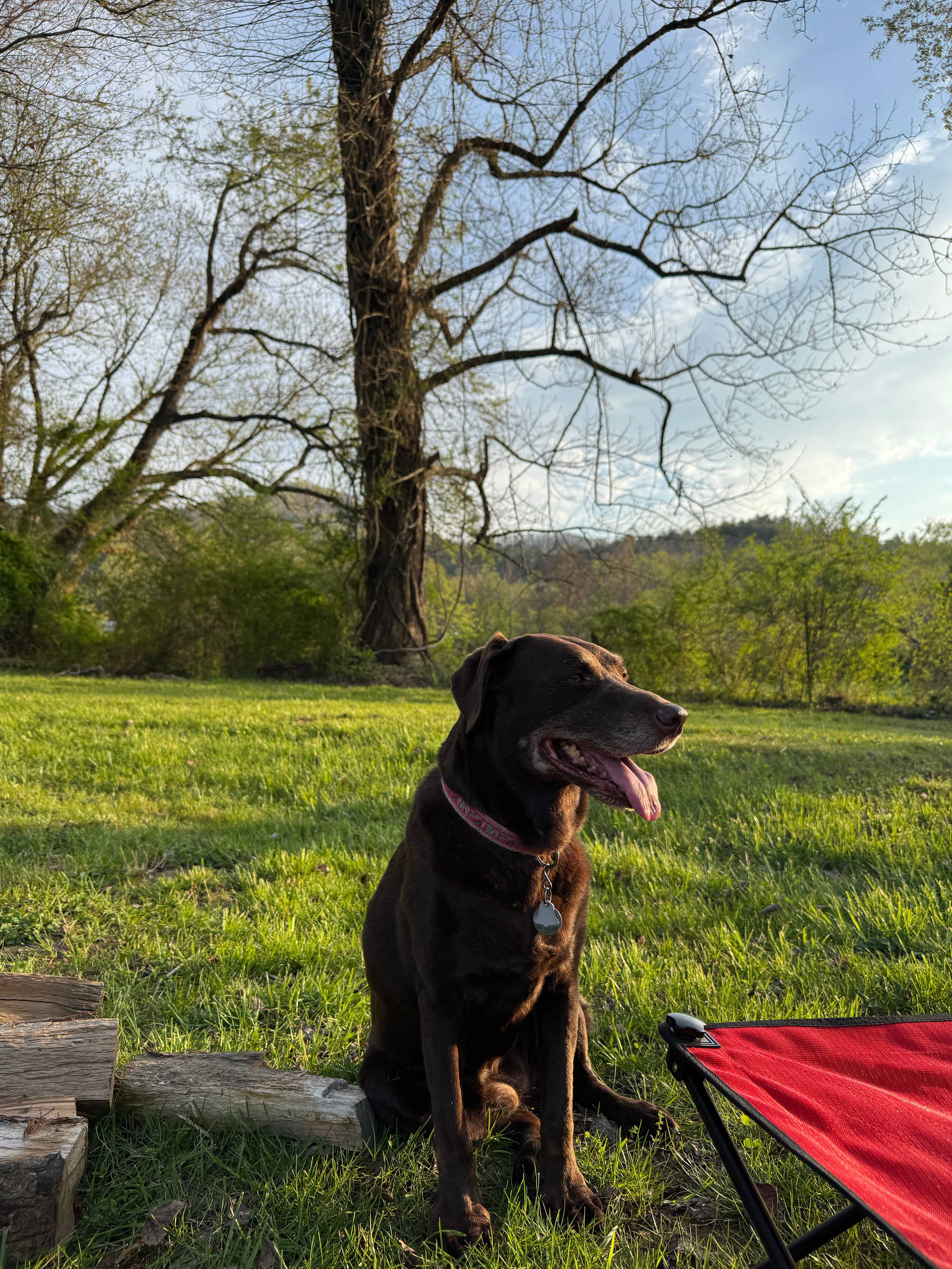River was content 