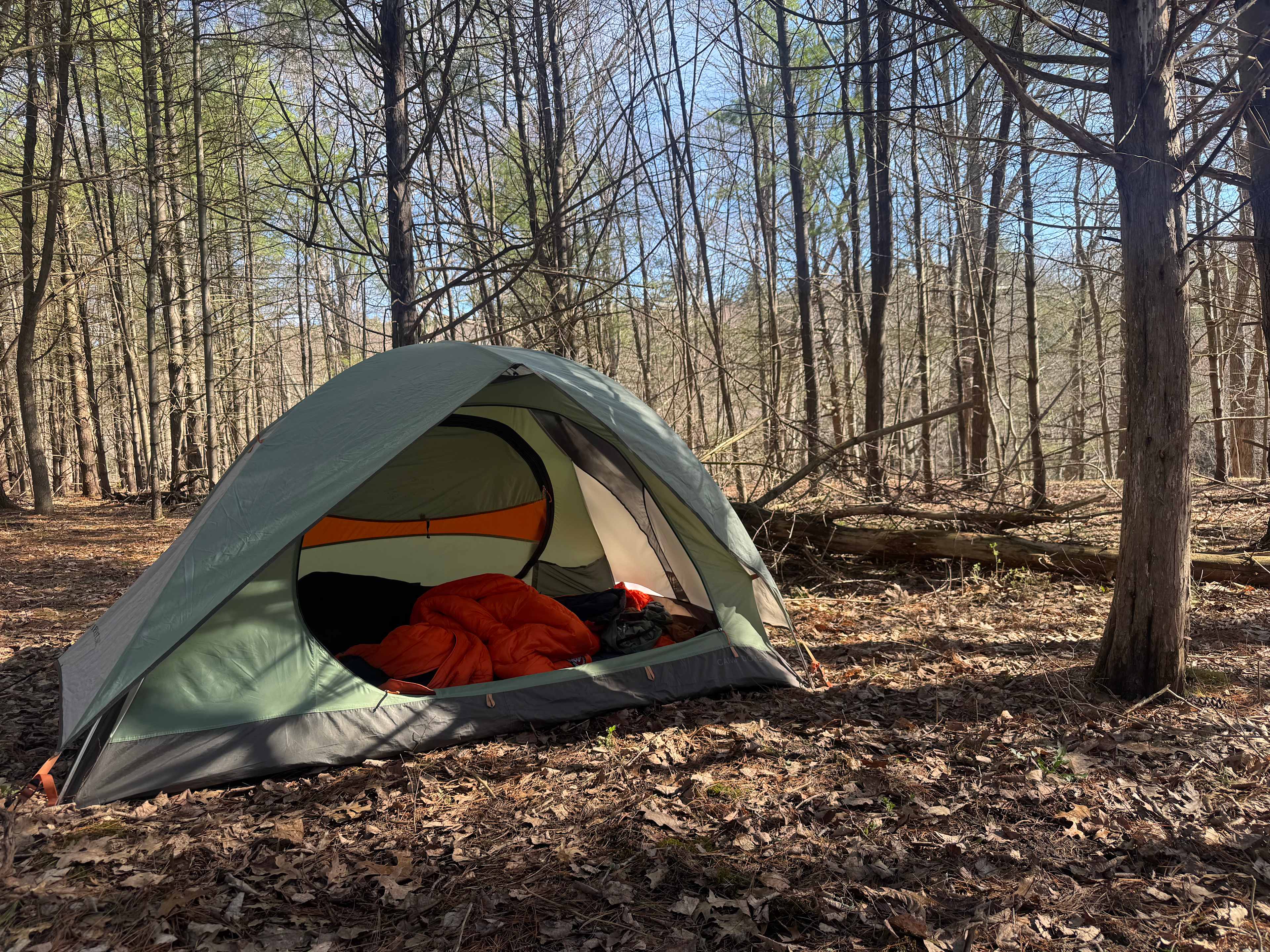 Hickory Hollow