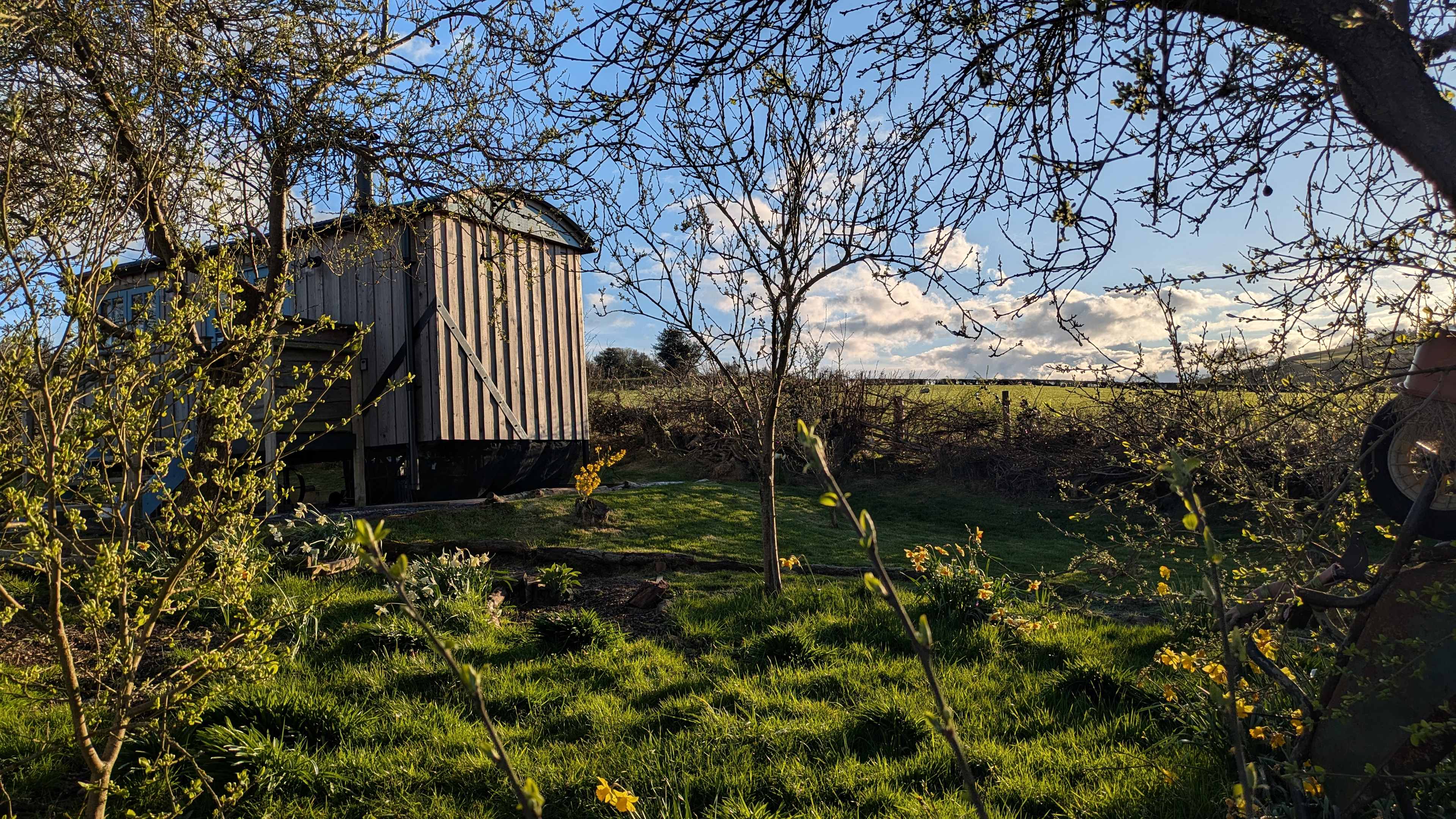 Hut and orchard