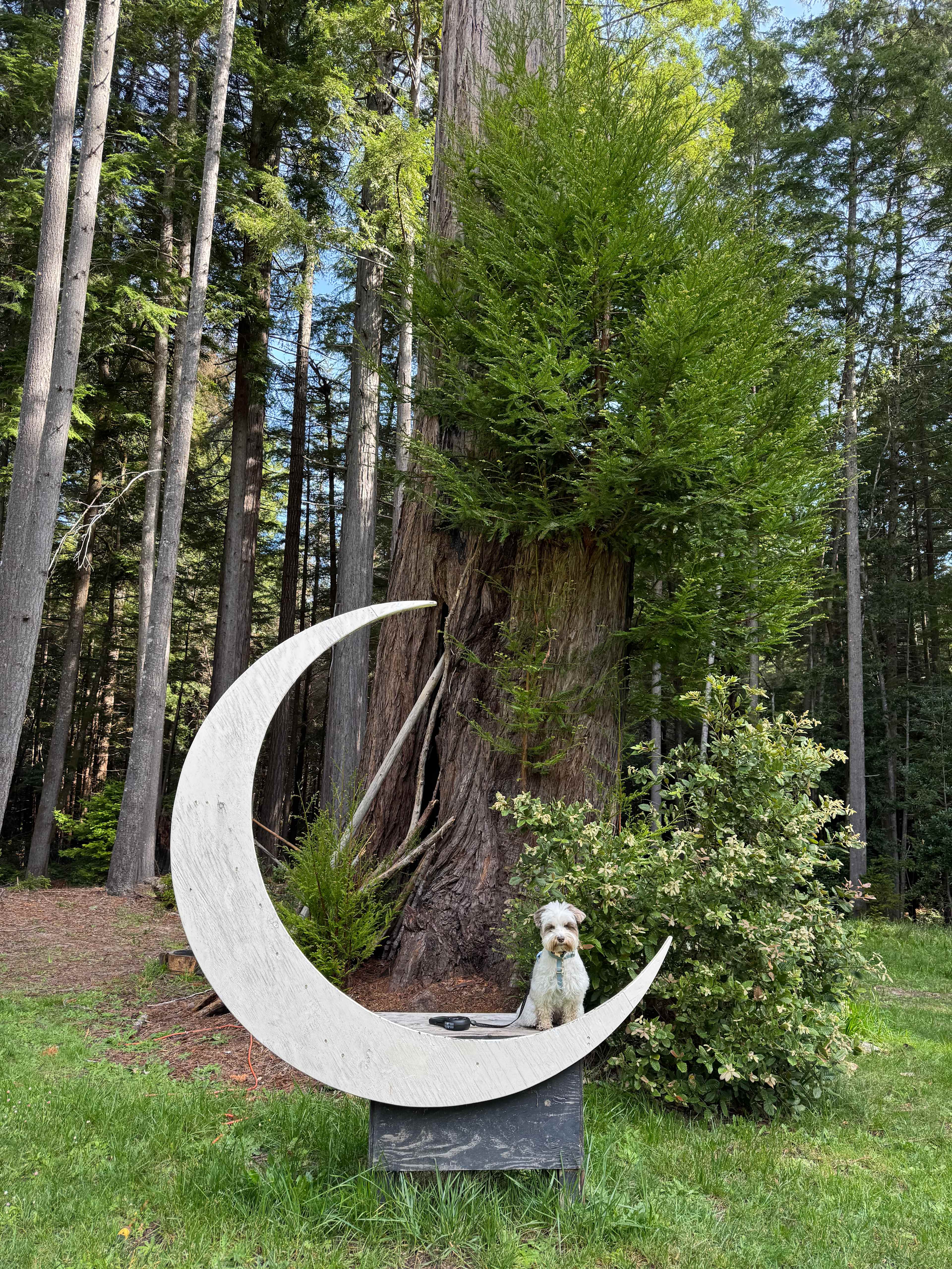 Heartwood Mendocino
