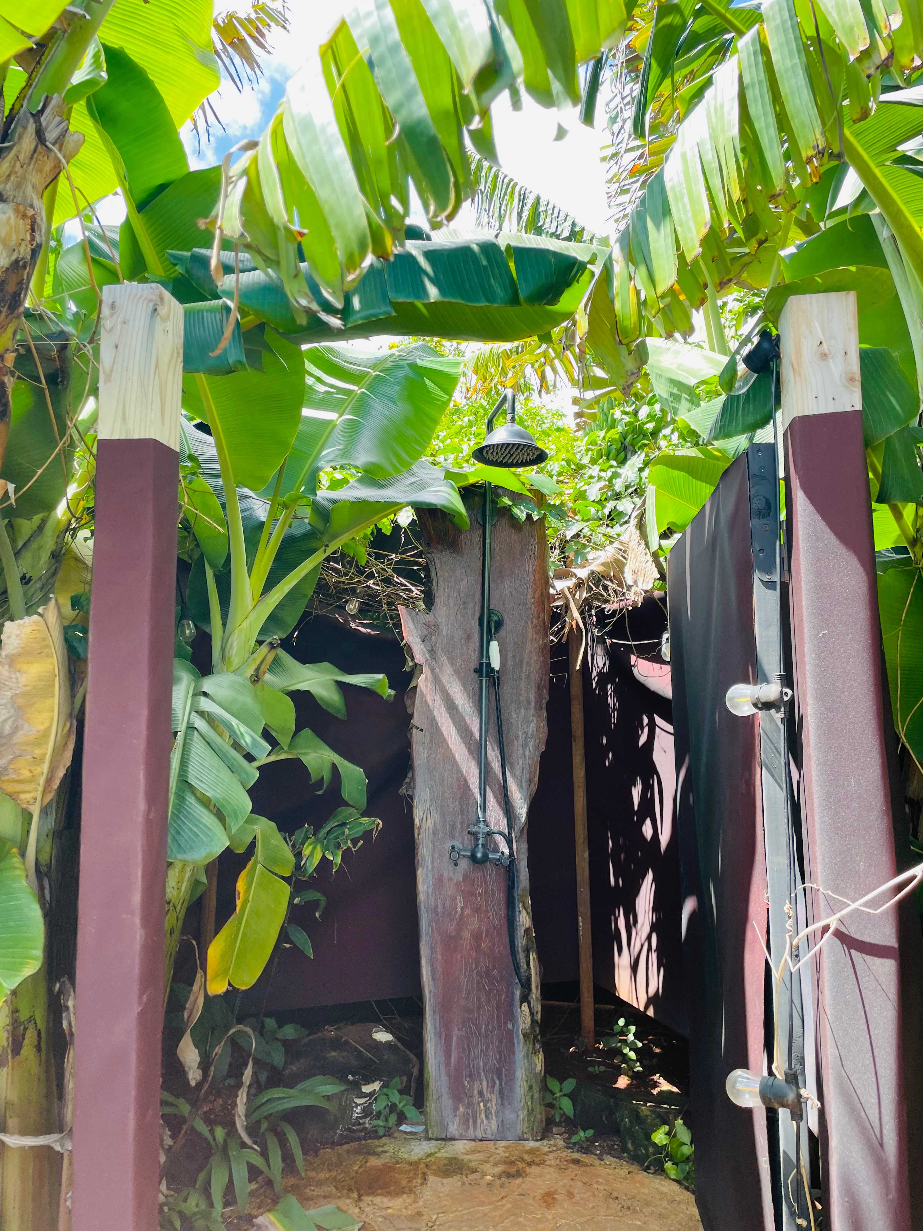 Living Circle Farms Hawaii