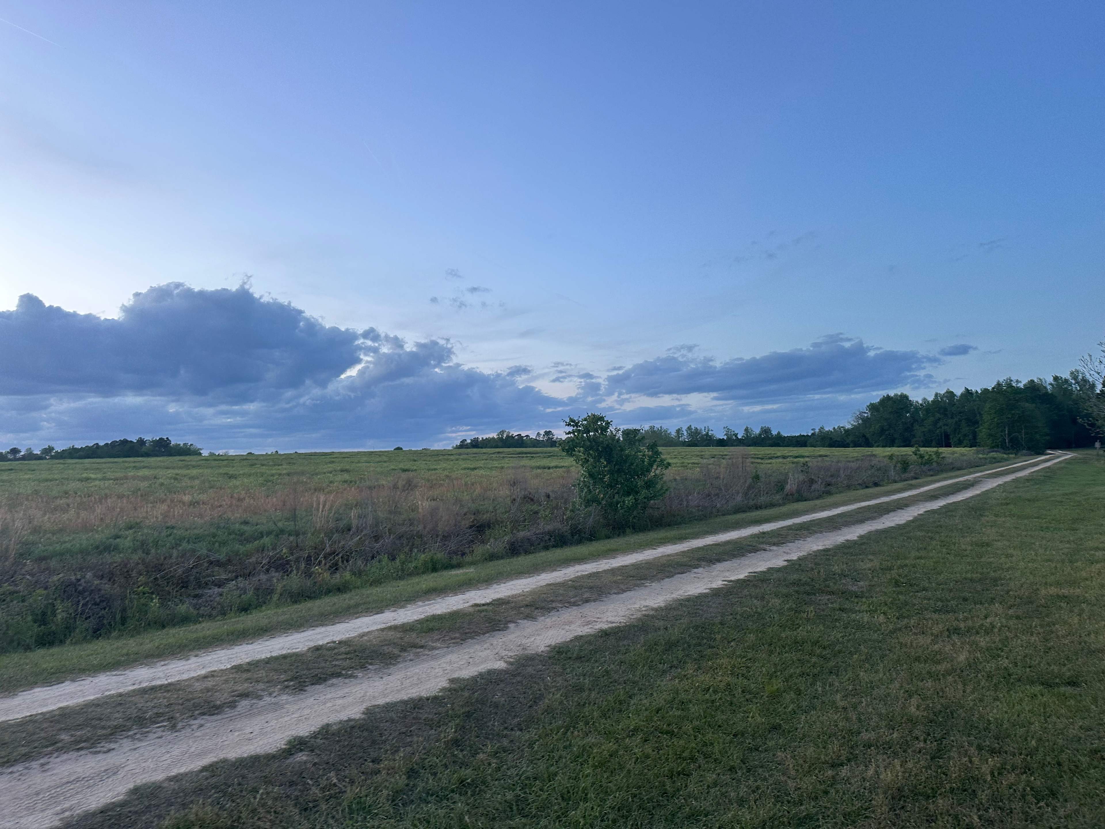 Cbo & Dana's Farm