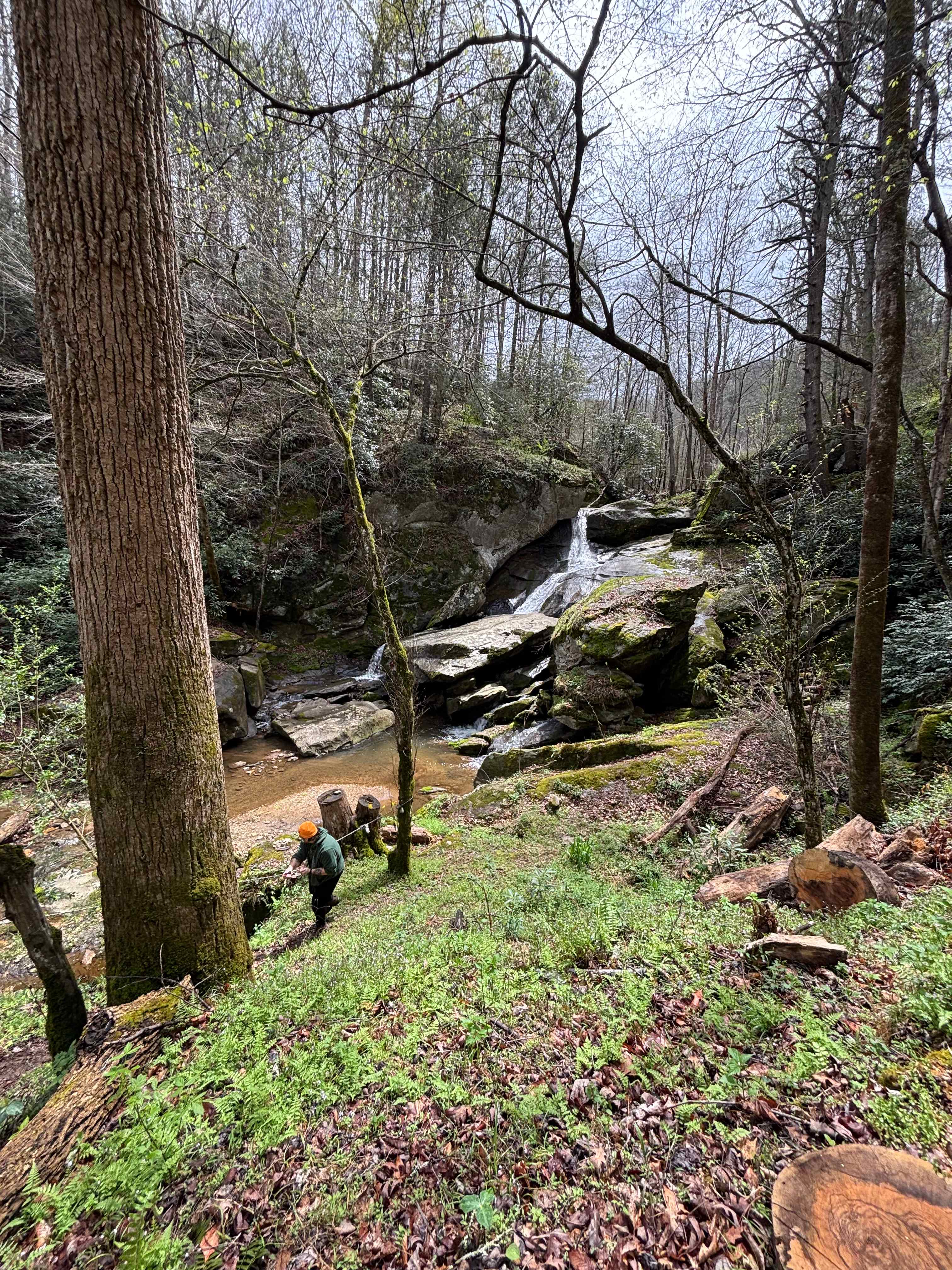 Waterfall Paradise on Paw Paw