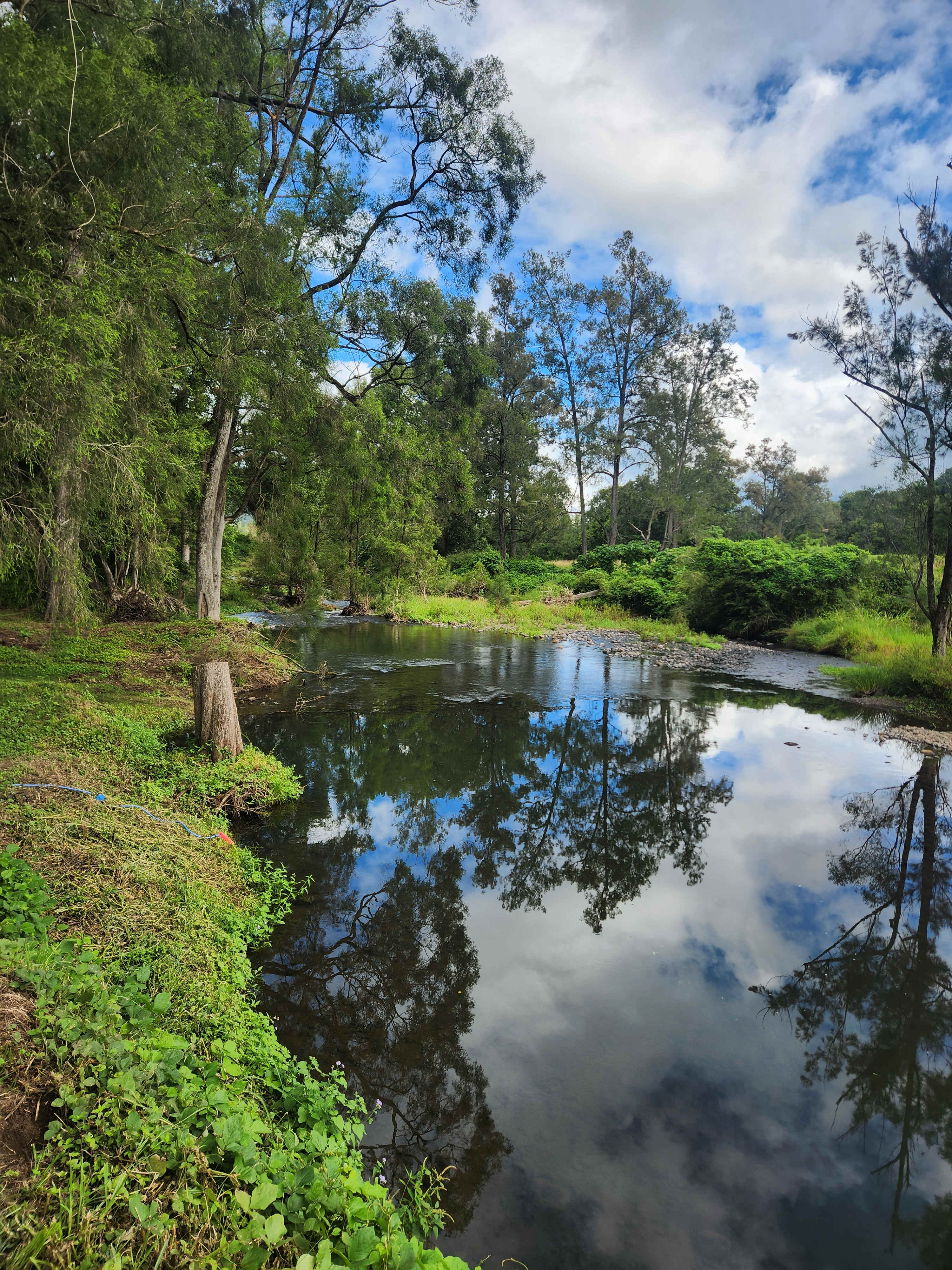 Mt Lion Farm Secluded Creek Camping