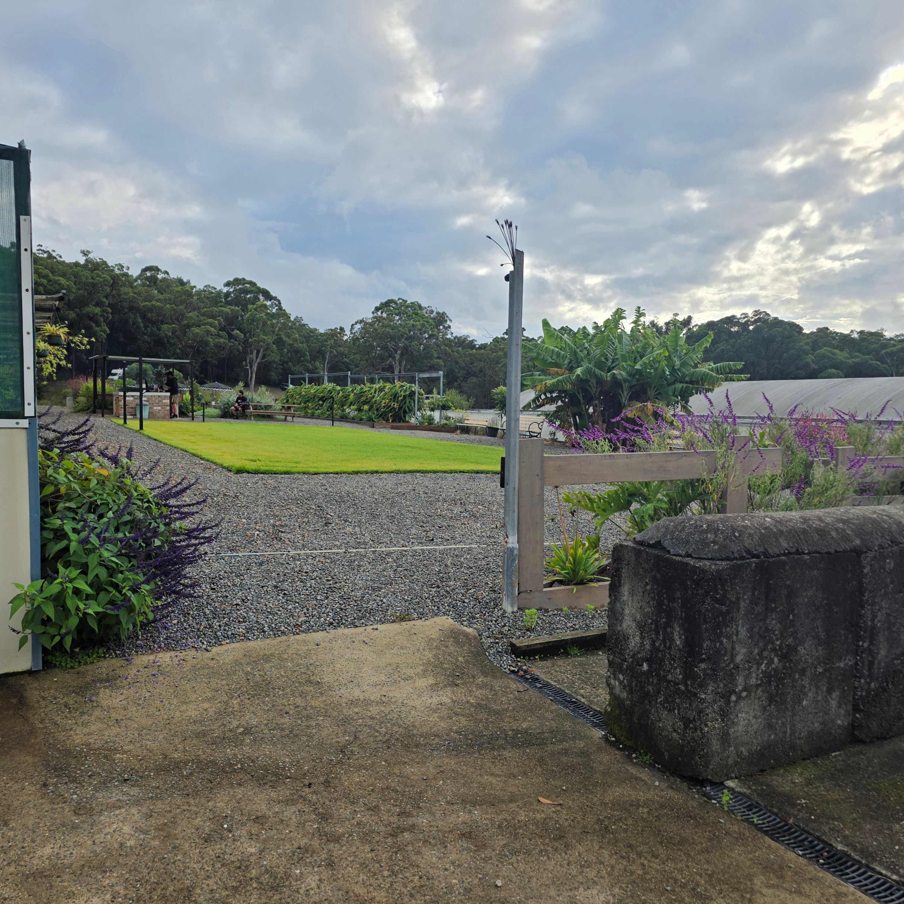 Mt Nellinda Campsite