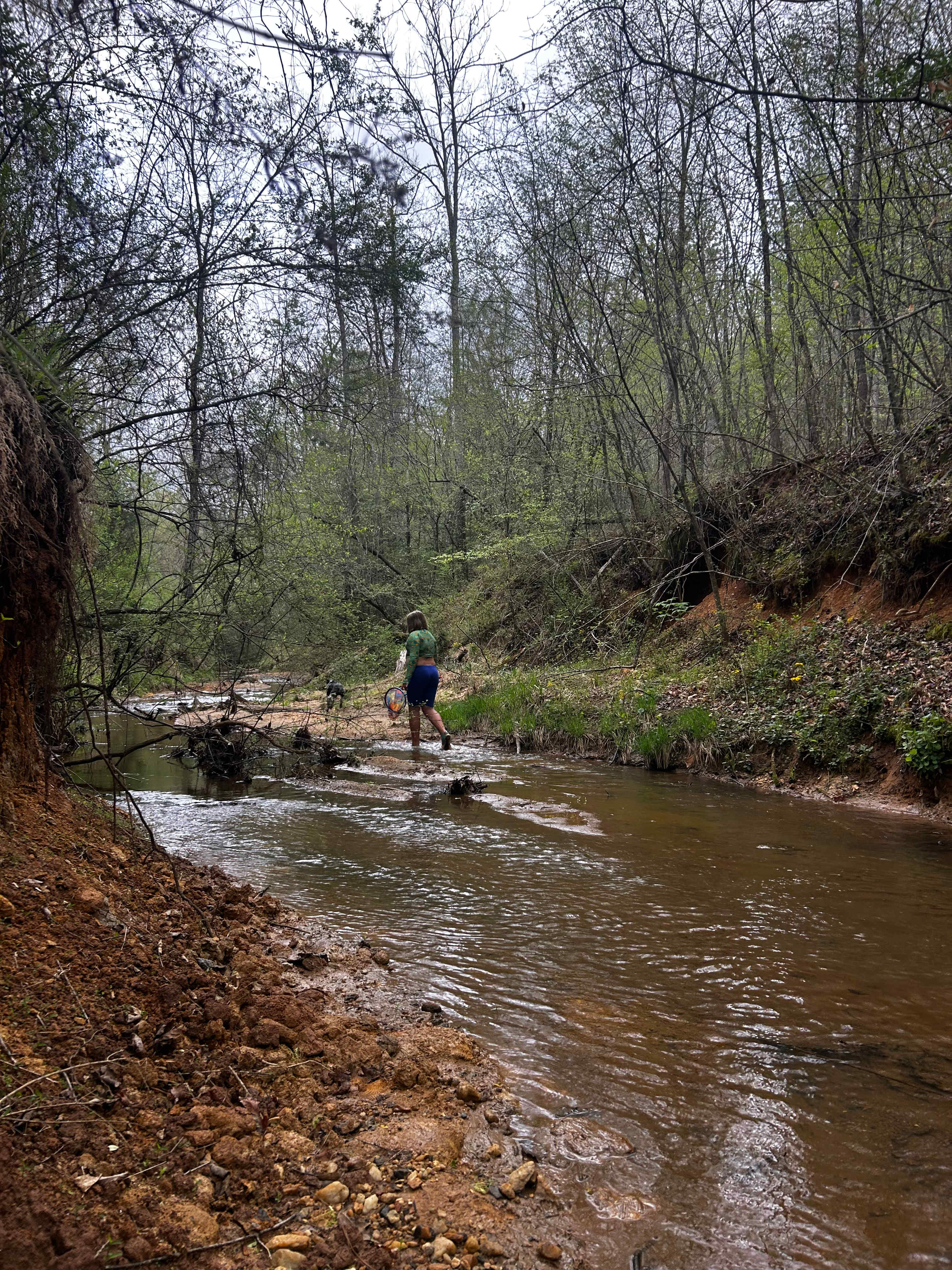 Bear's Woods at Camp Creek