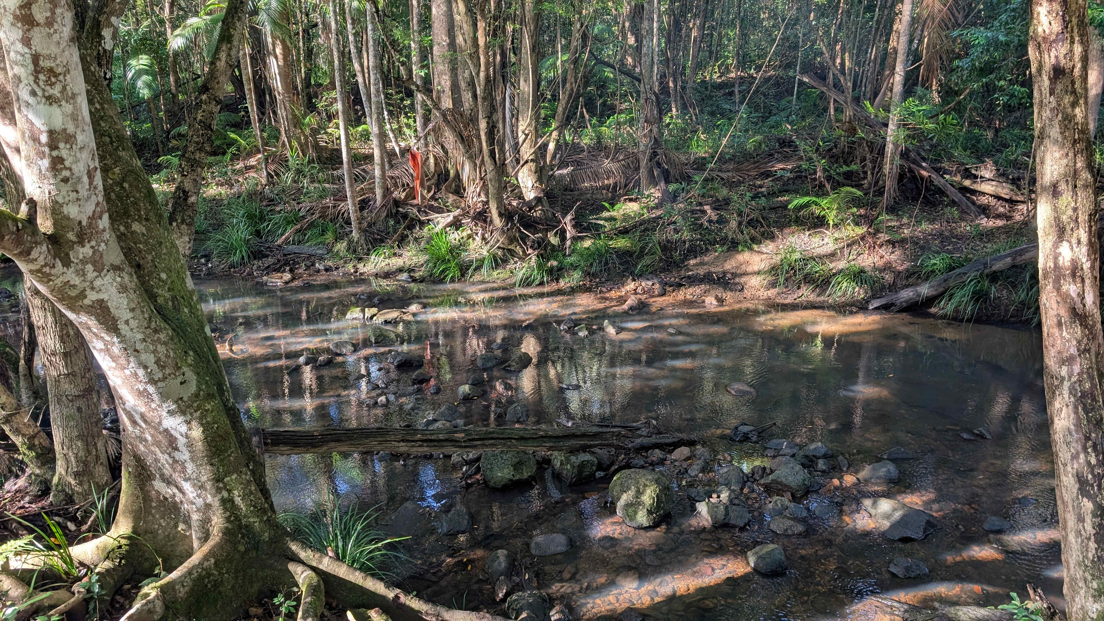 Browns Creek Camping