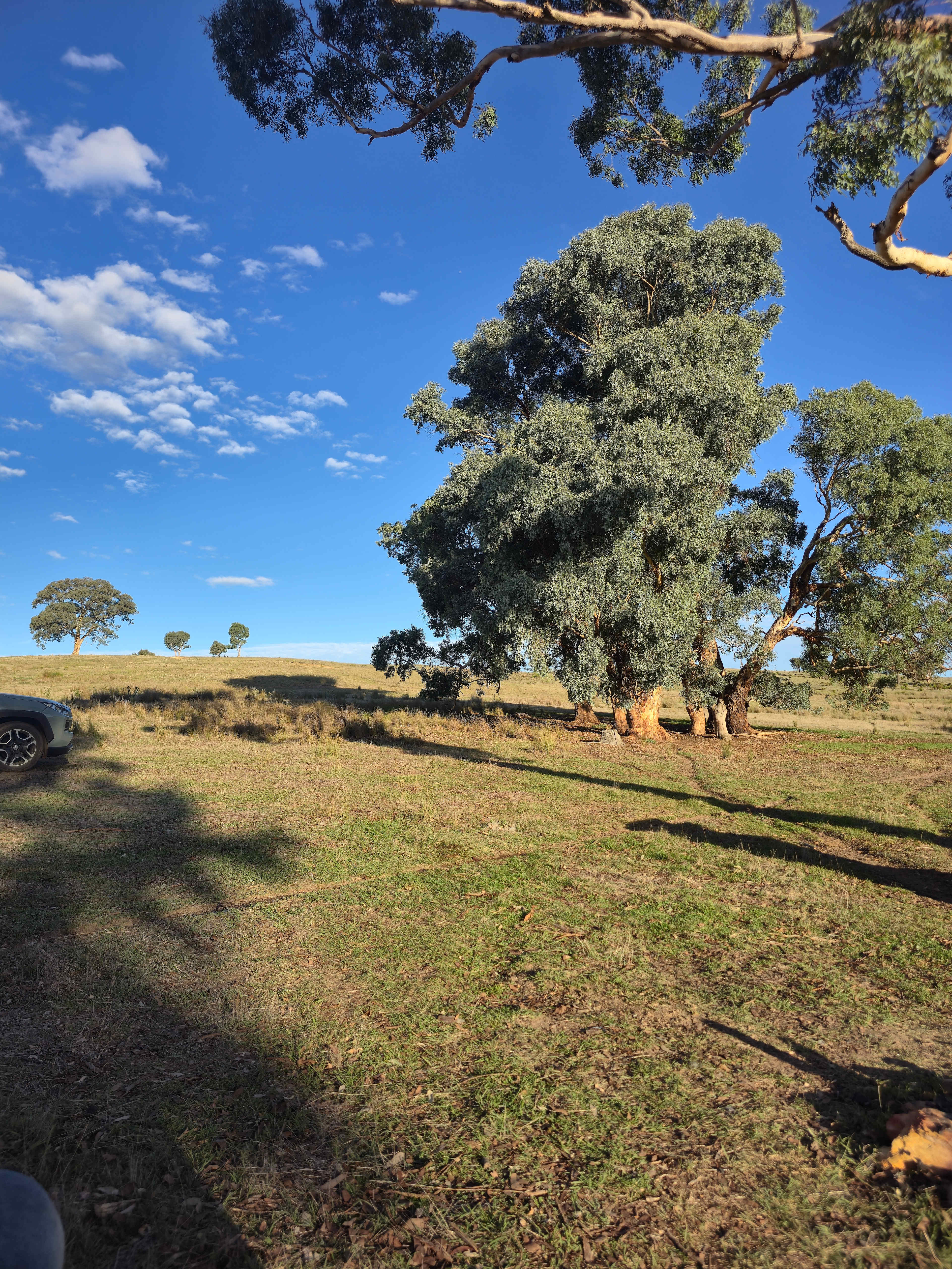 Redlands Camping