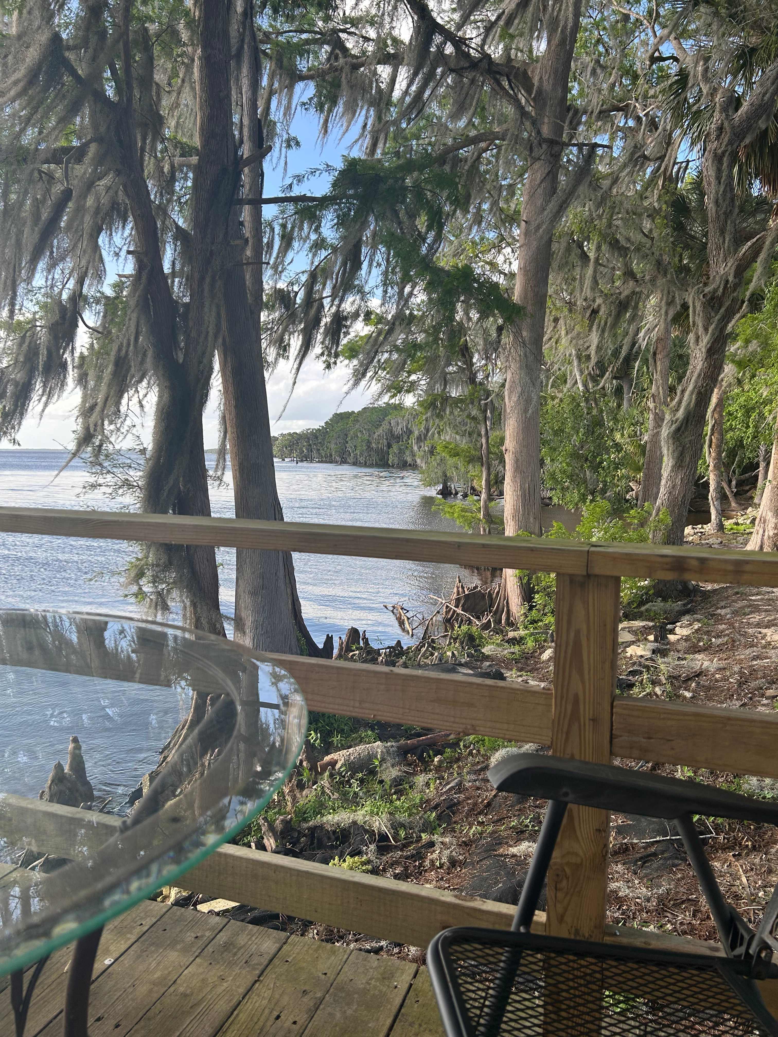 Tiny House + Marina near springs!