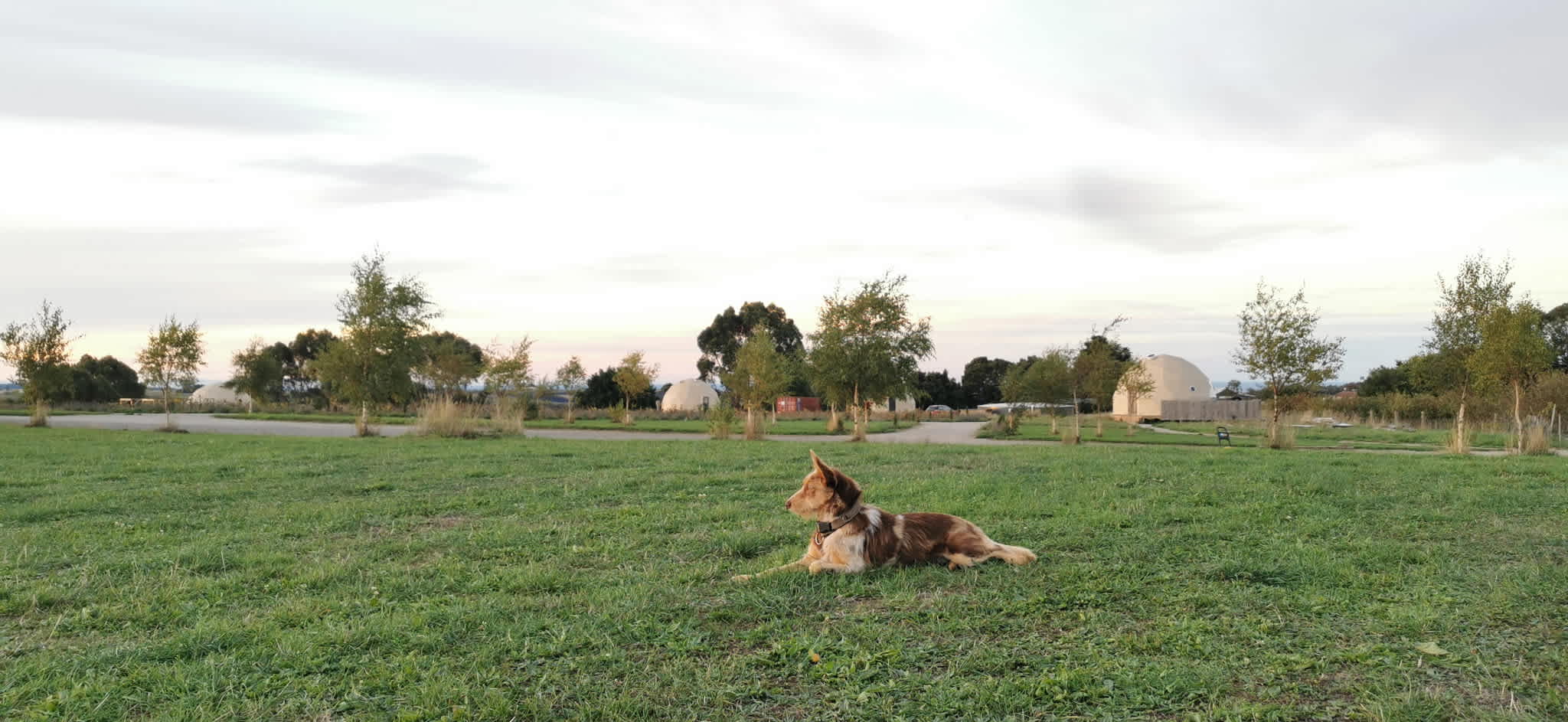 Mount Gnomon Farm