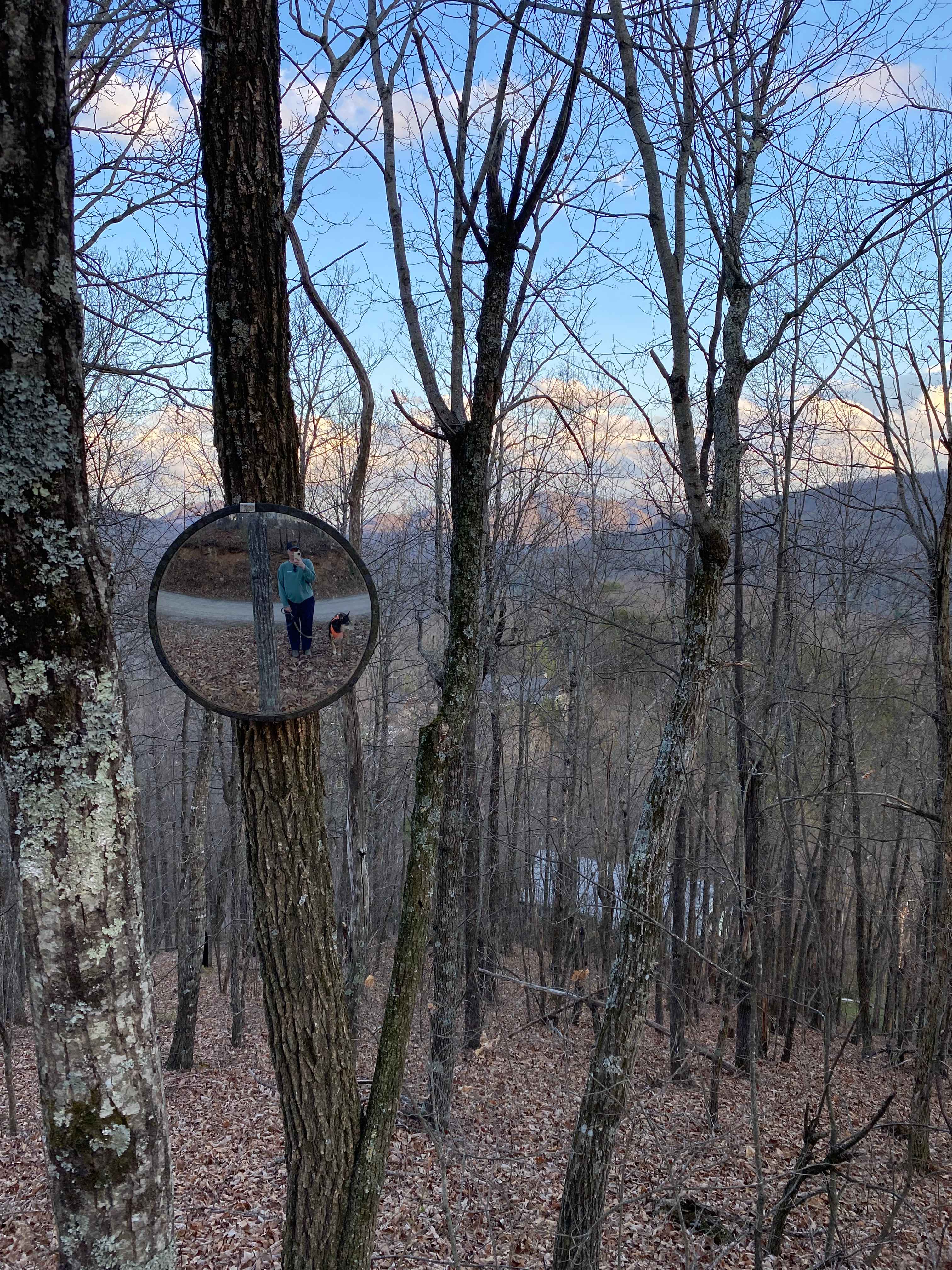 Above the Fray Glamping, Black Mtn.
