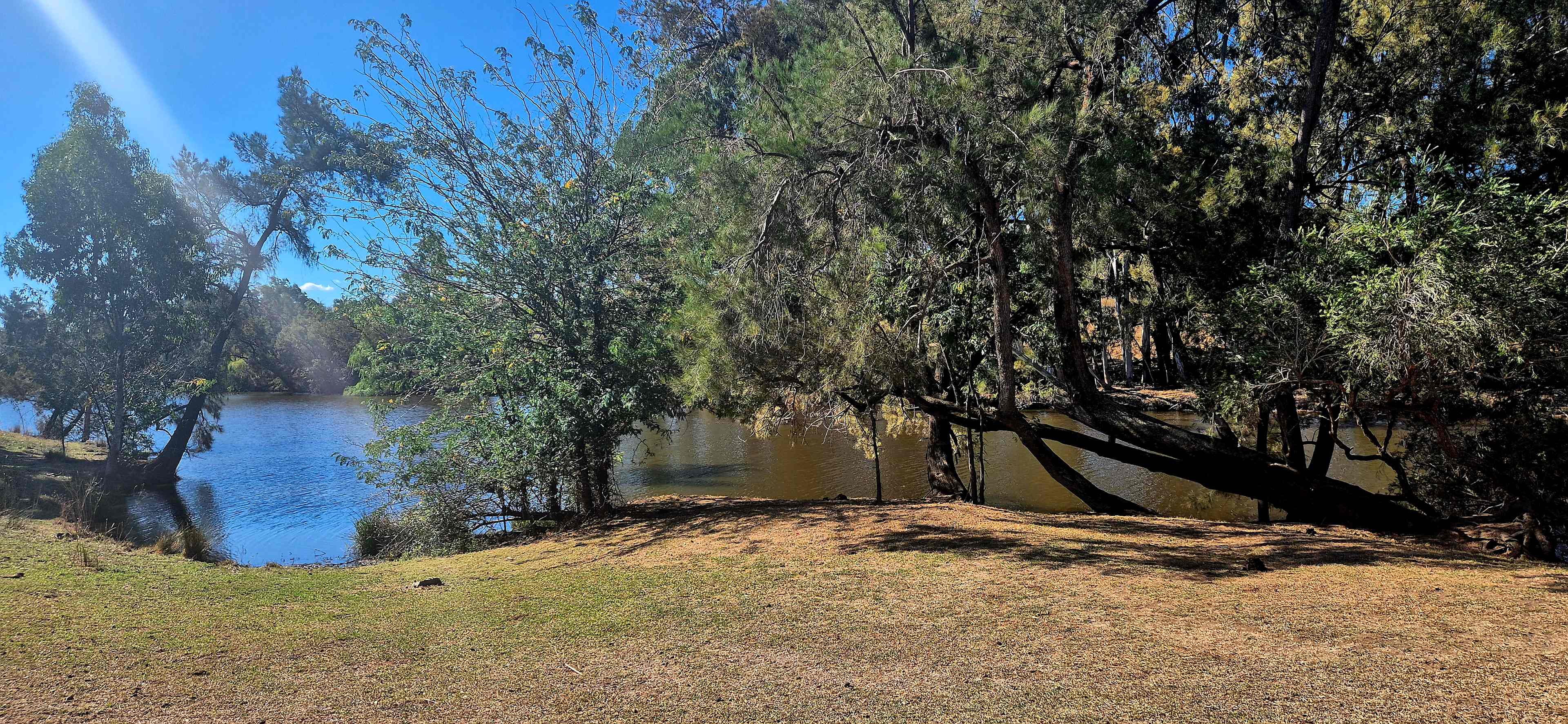Fernlee Station
