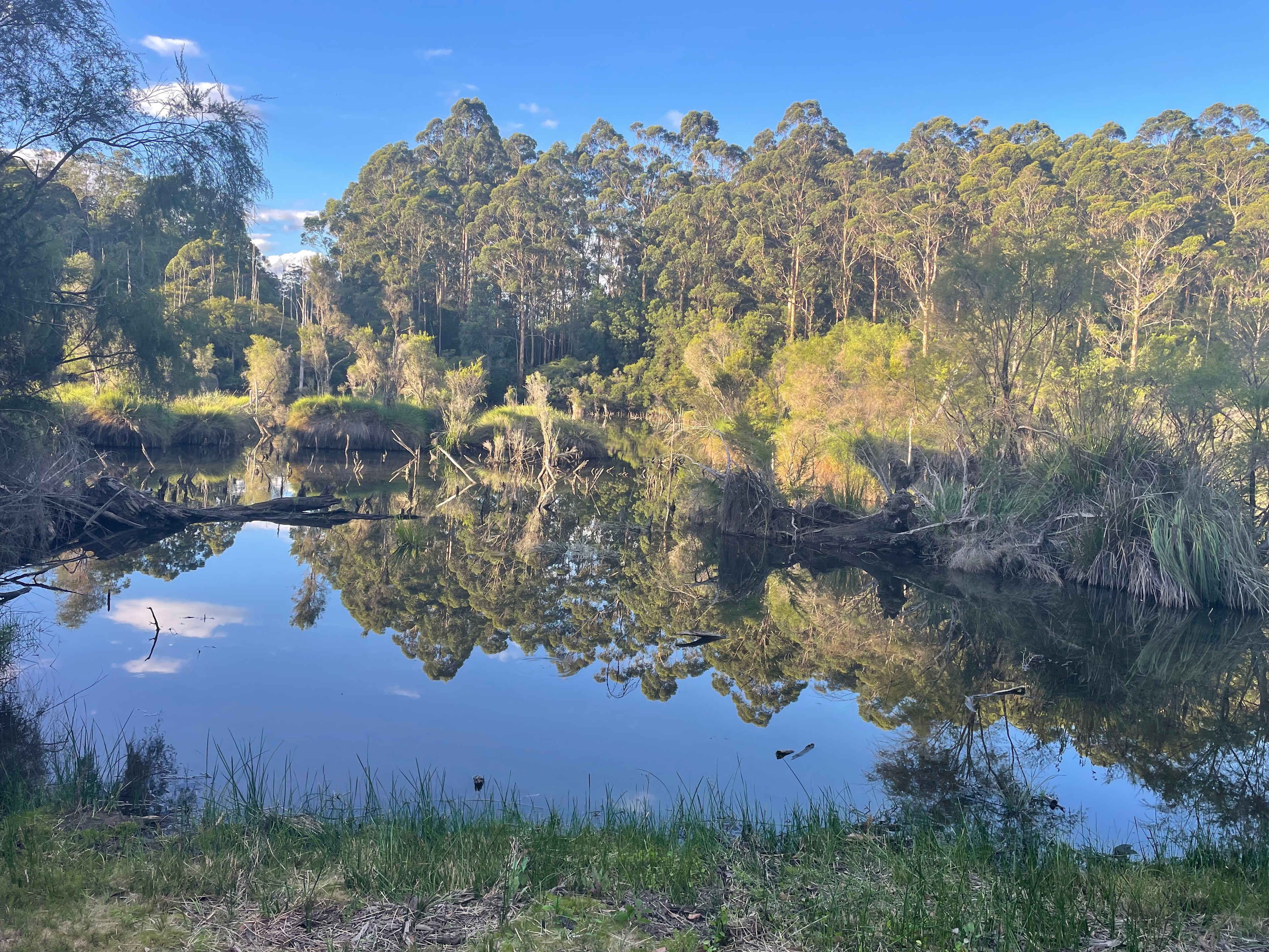 Mountford Wines & Cider Pemberton