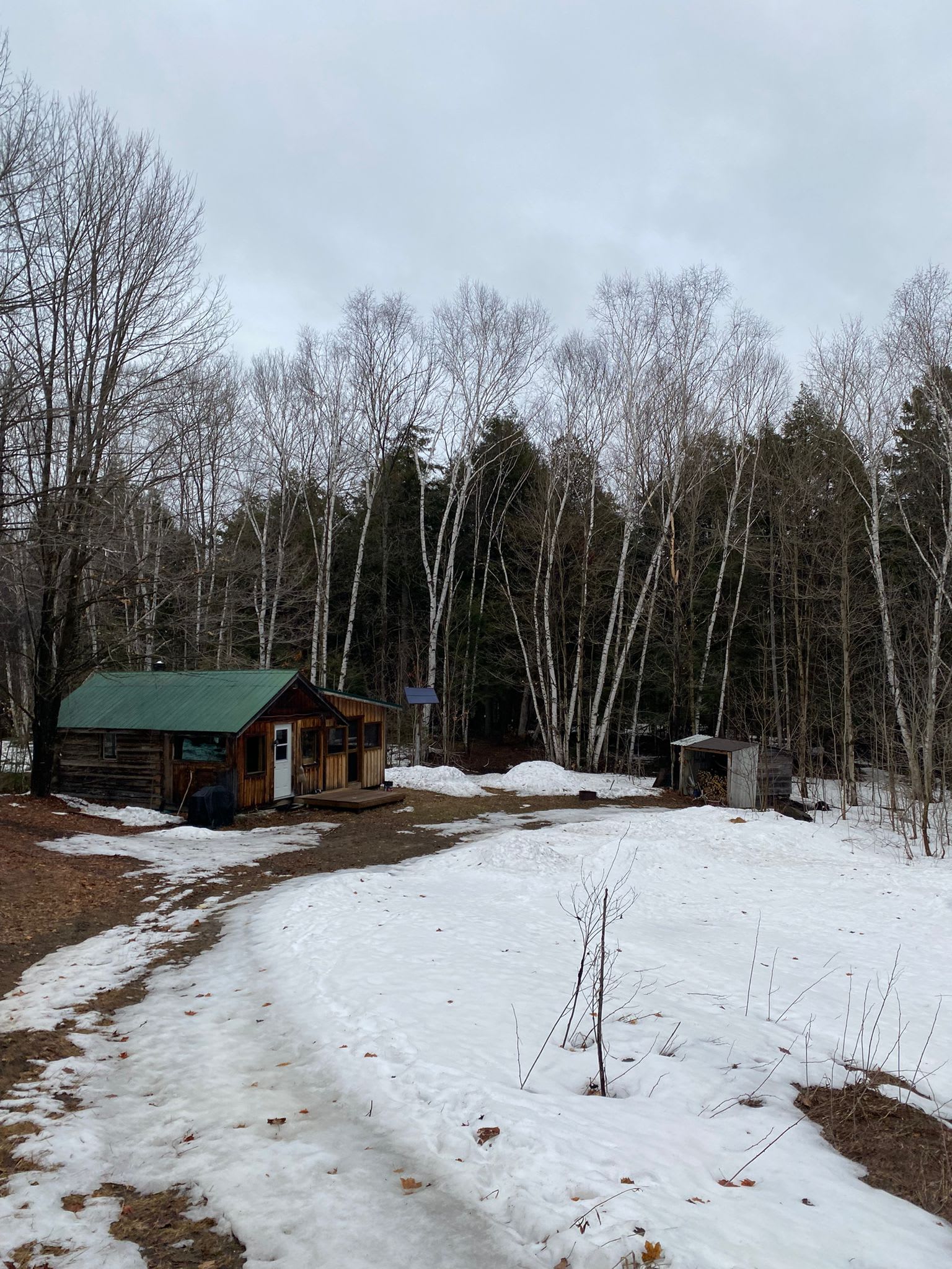 Cabin In The Woods