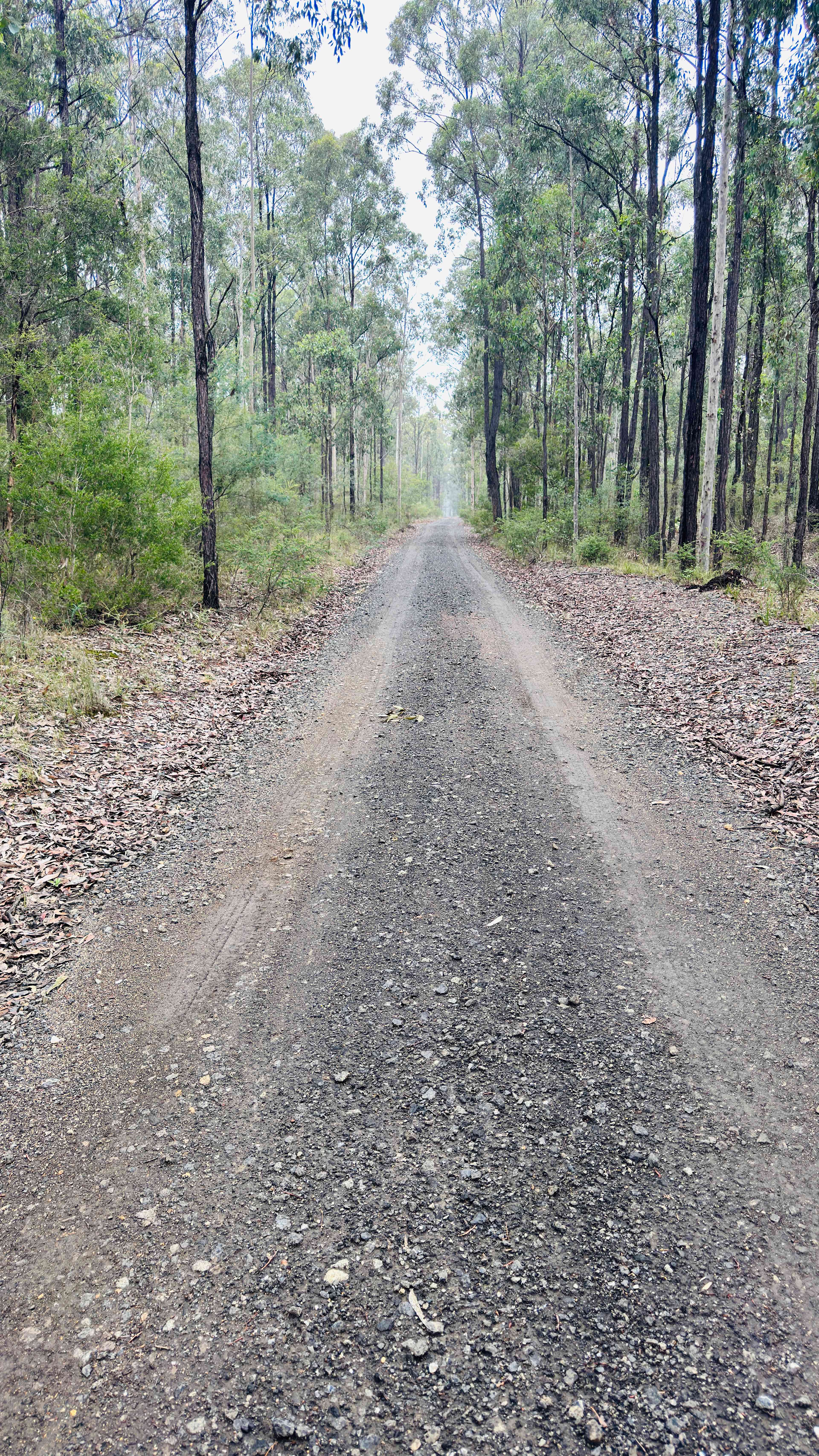 Ironbark Down