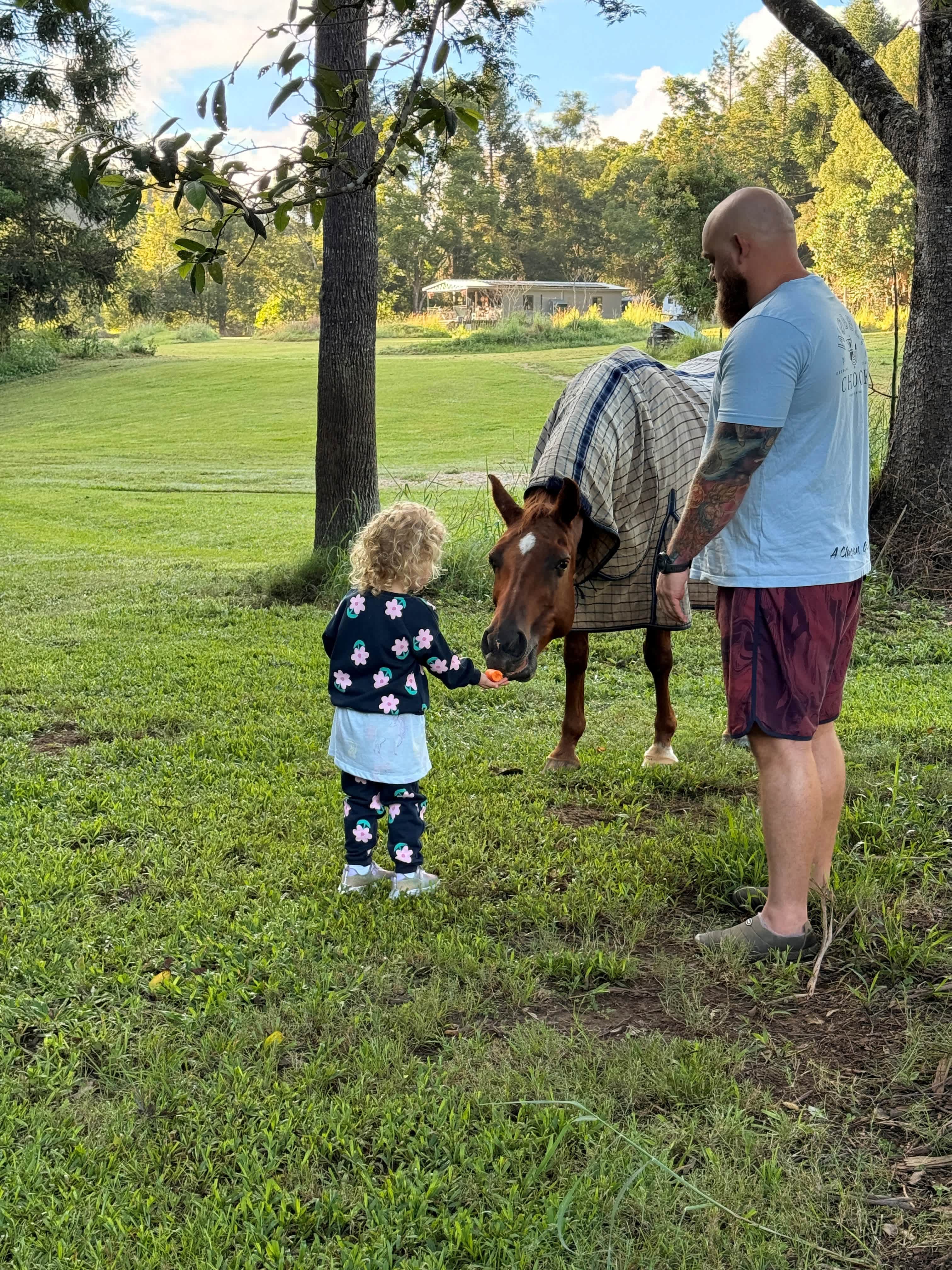 Making Friends