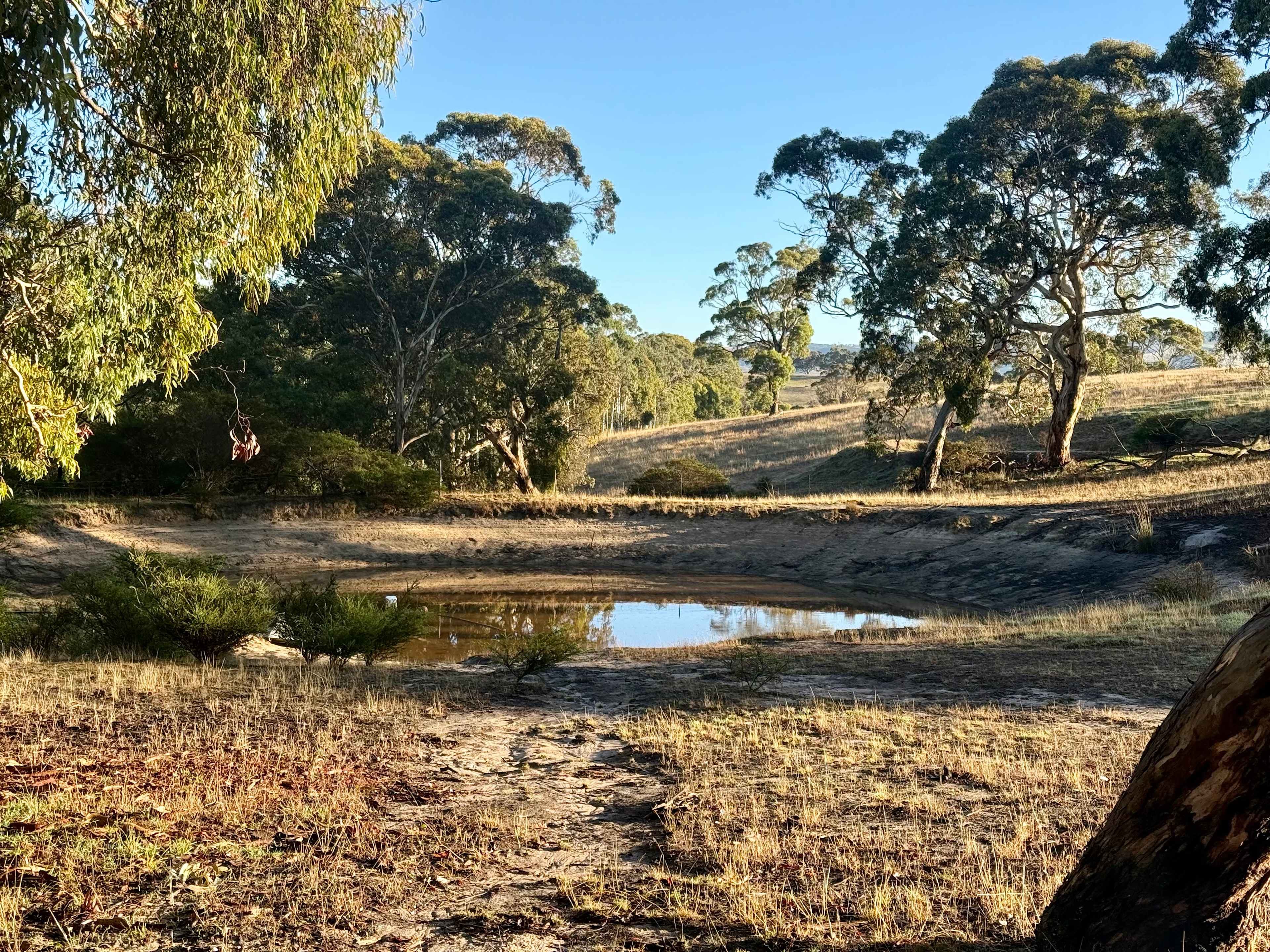 Local dam