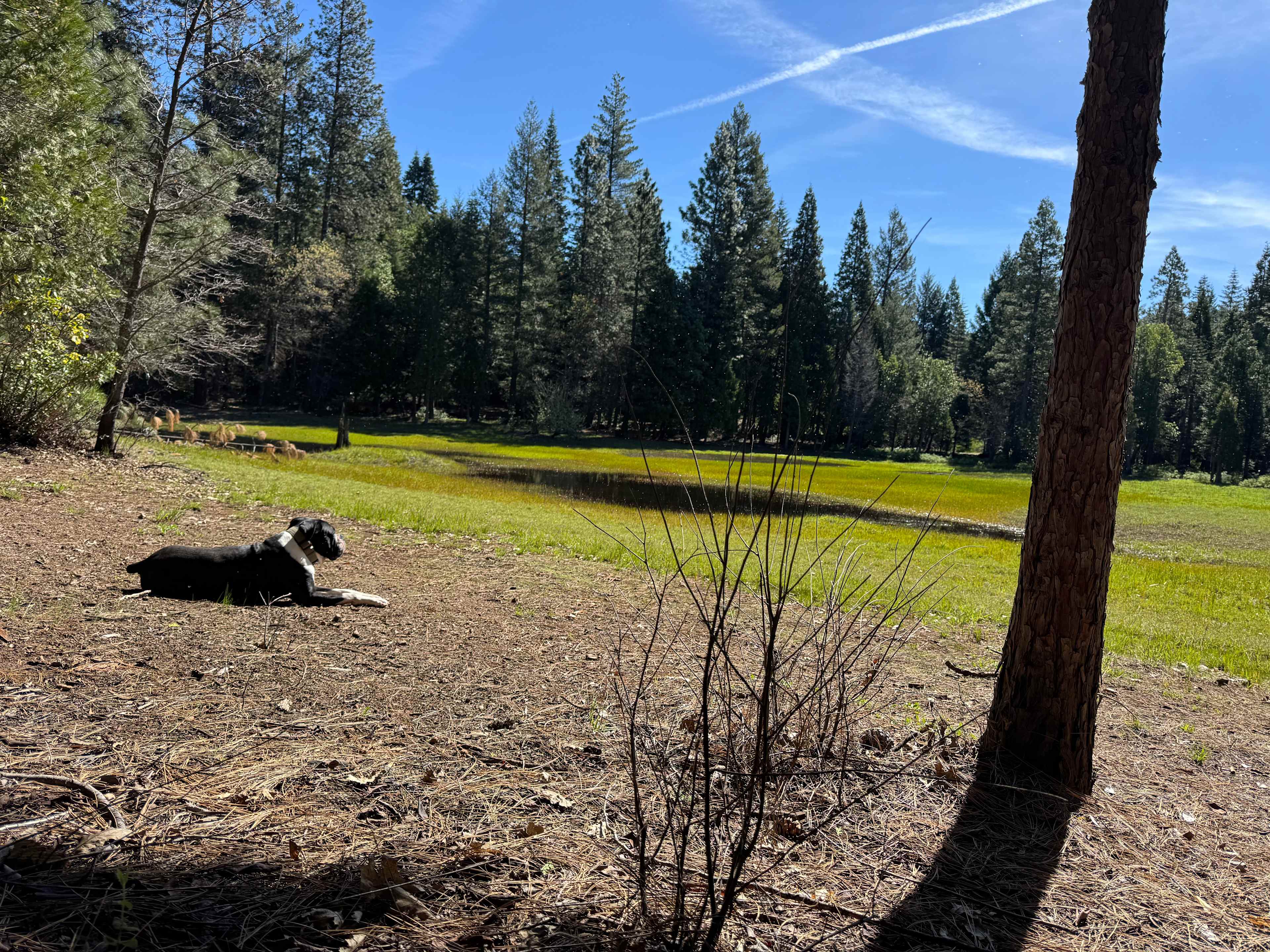 Wisdom eco-preserve