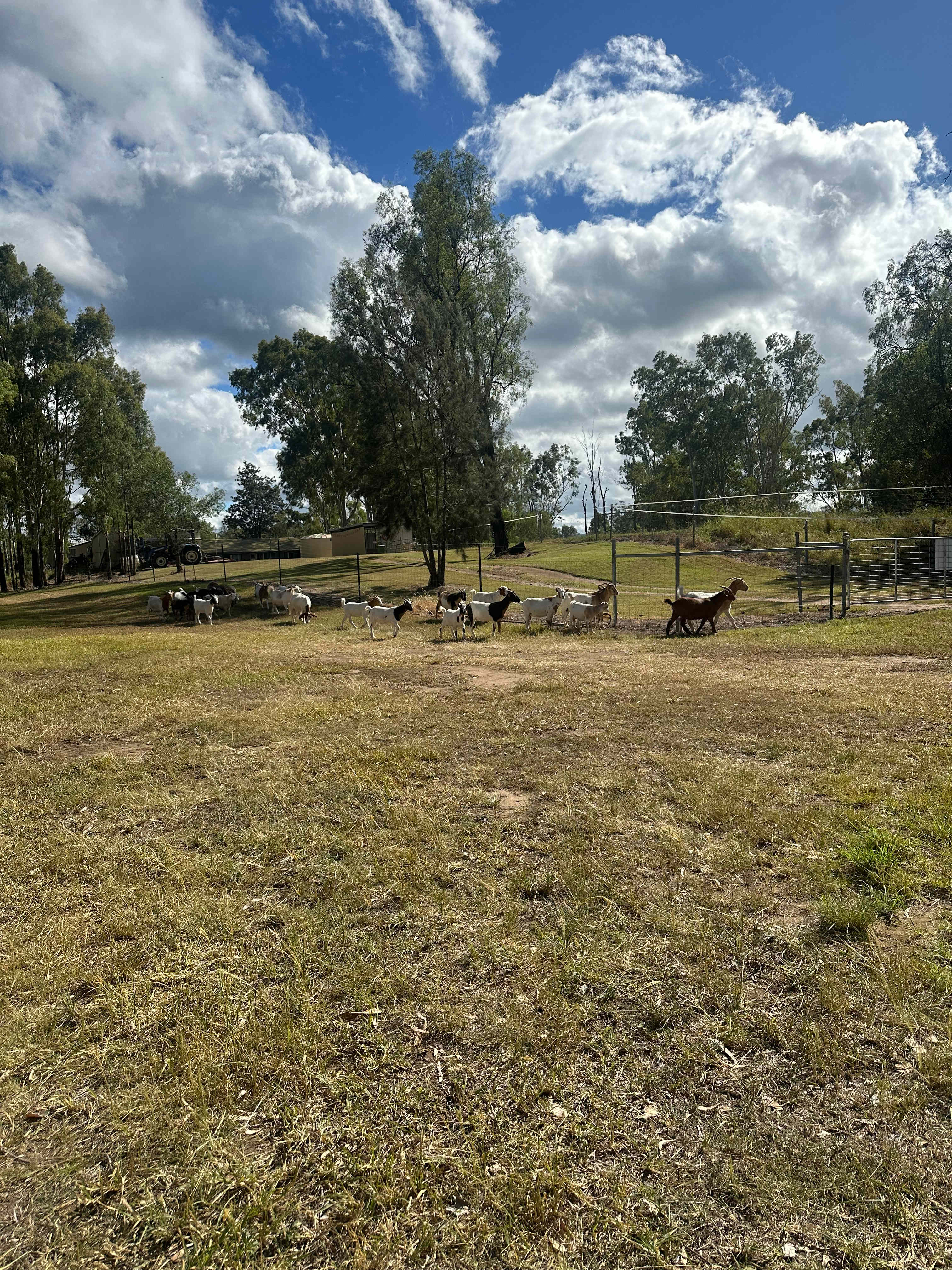 Rocky Creek Homestead
