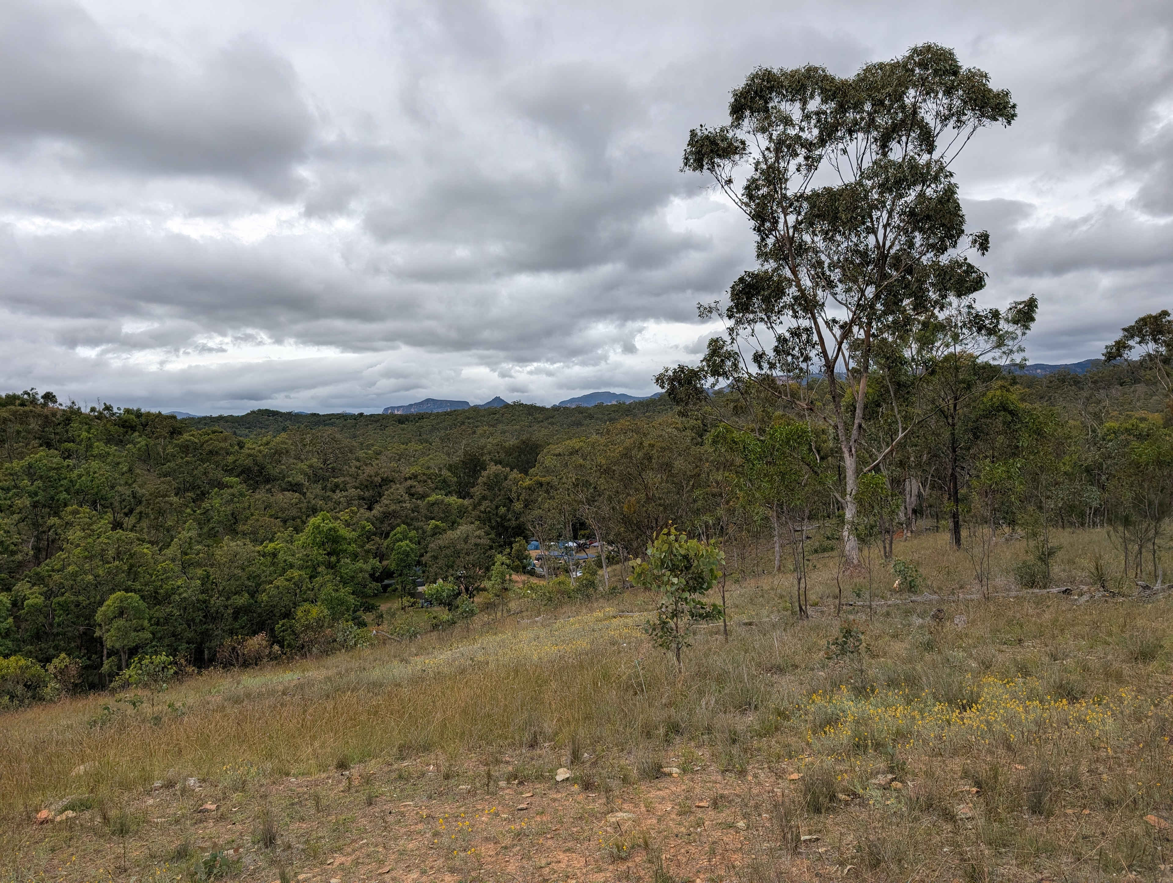 Dalli's Campground