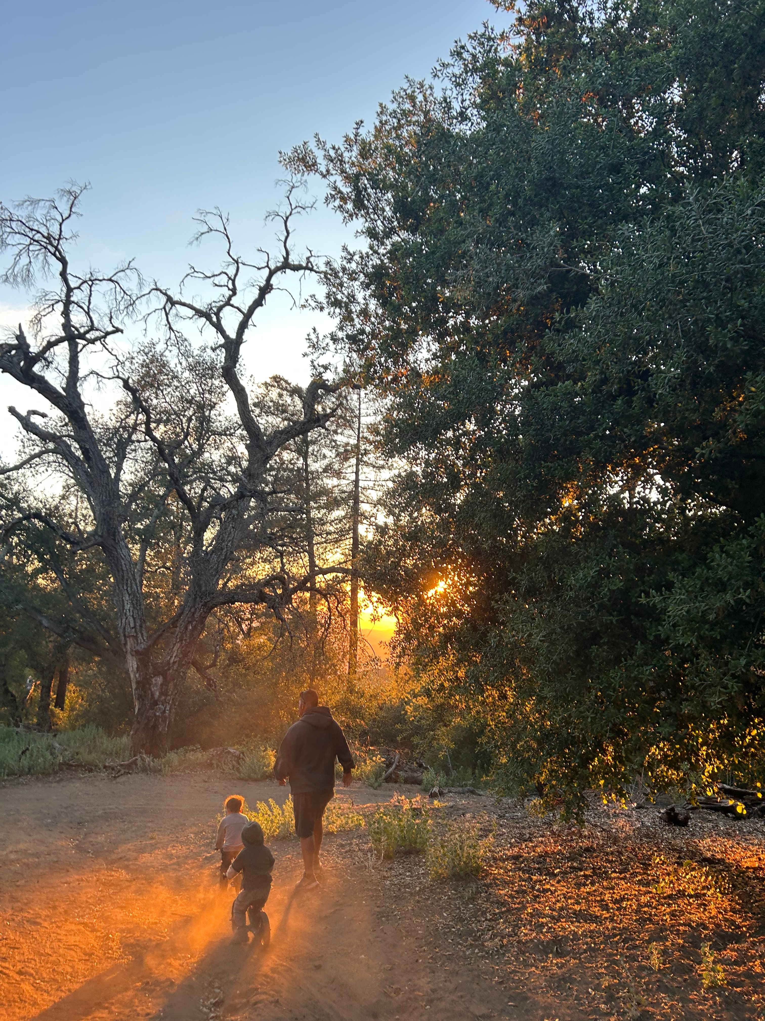 Magical Harrison Serenity Ranch