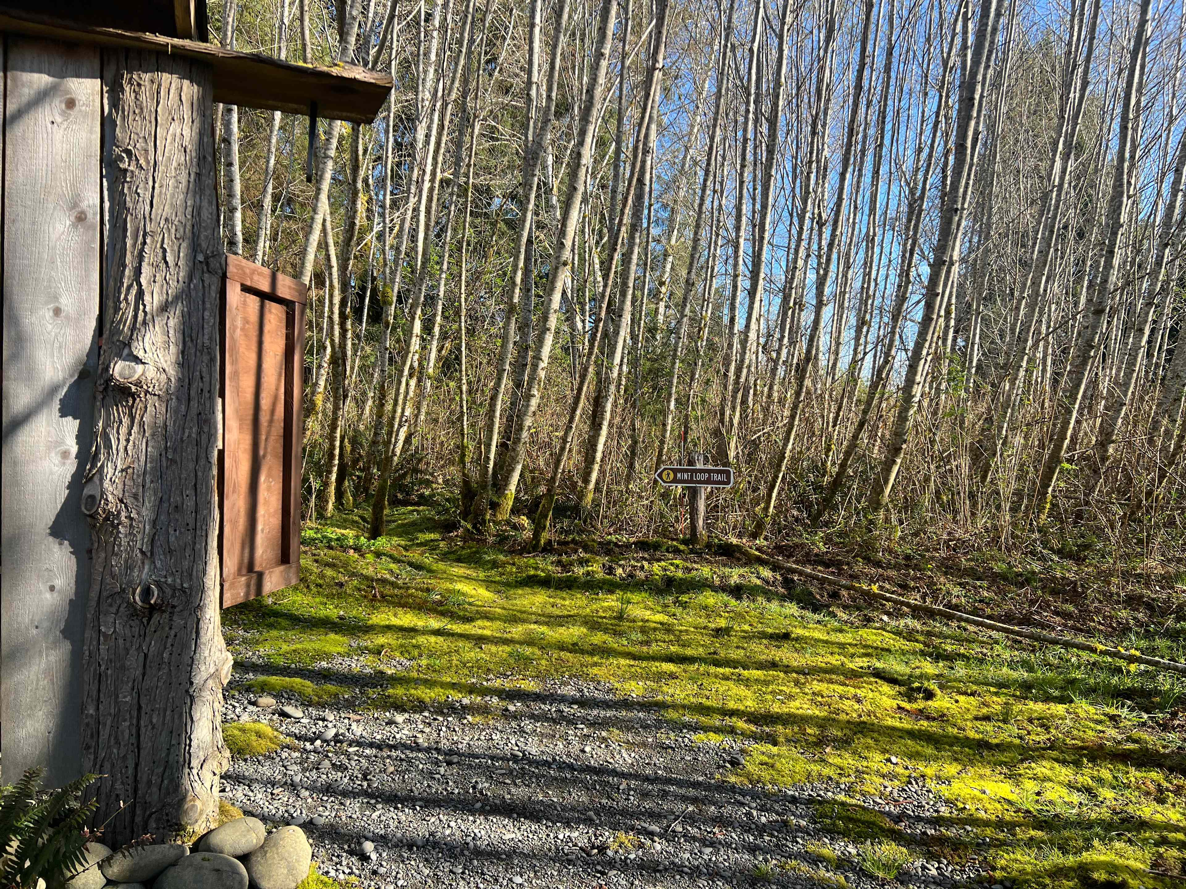 Hoh River Campsites