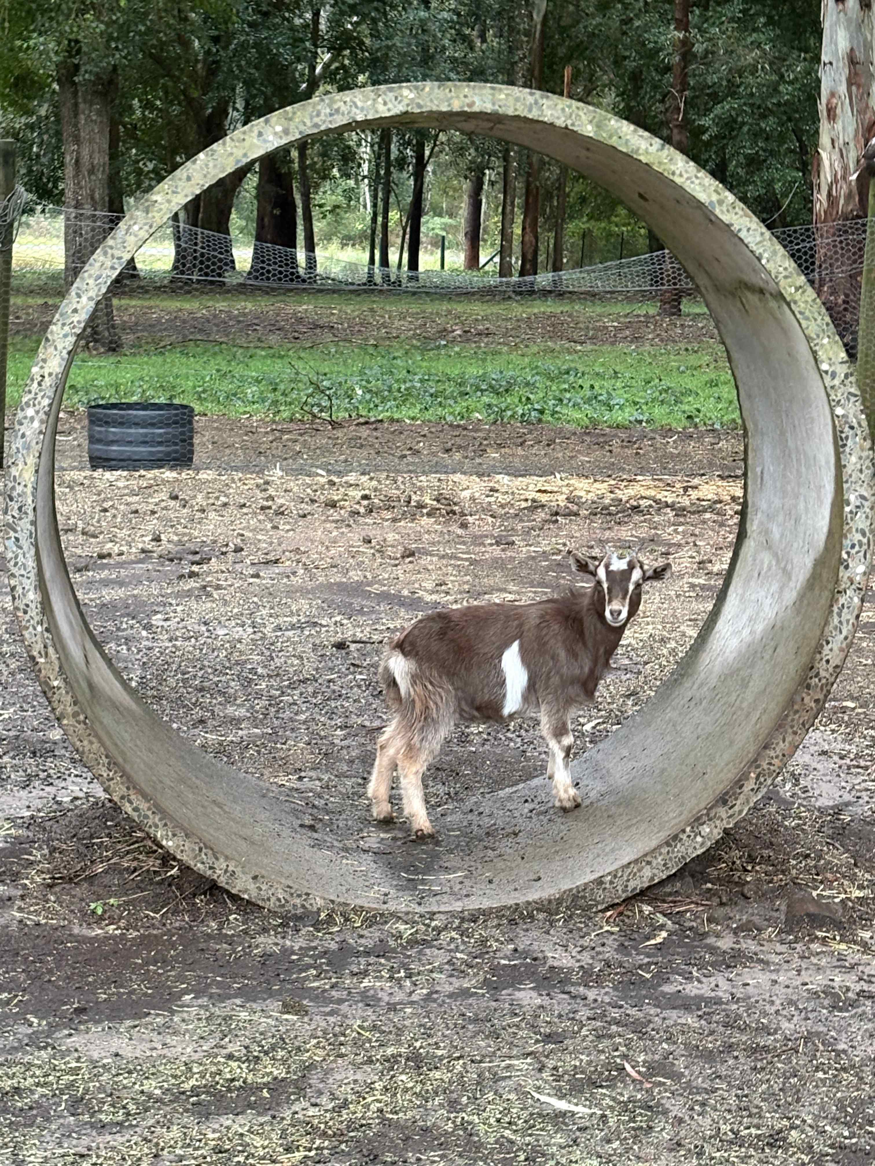 Riverside Farm Stay