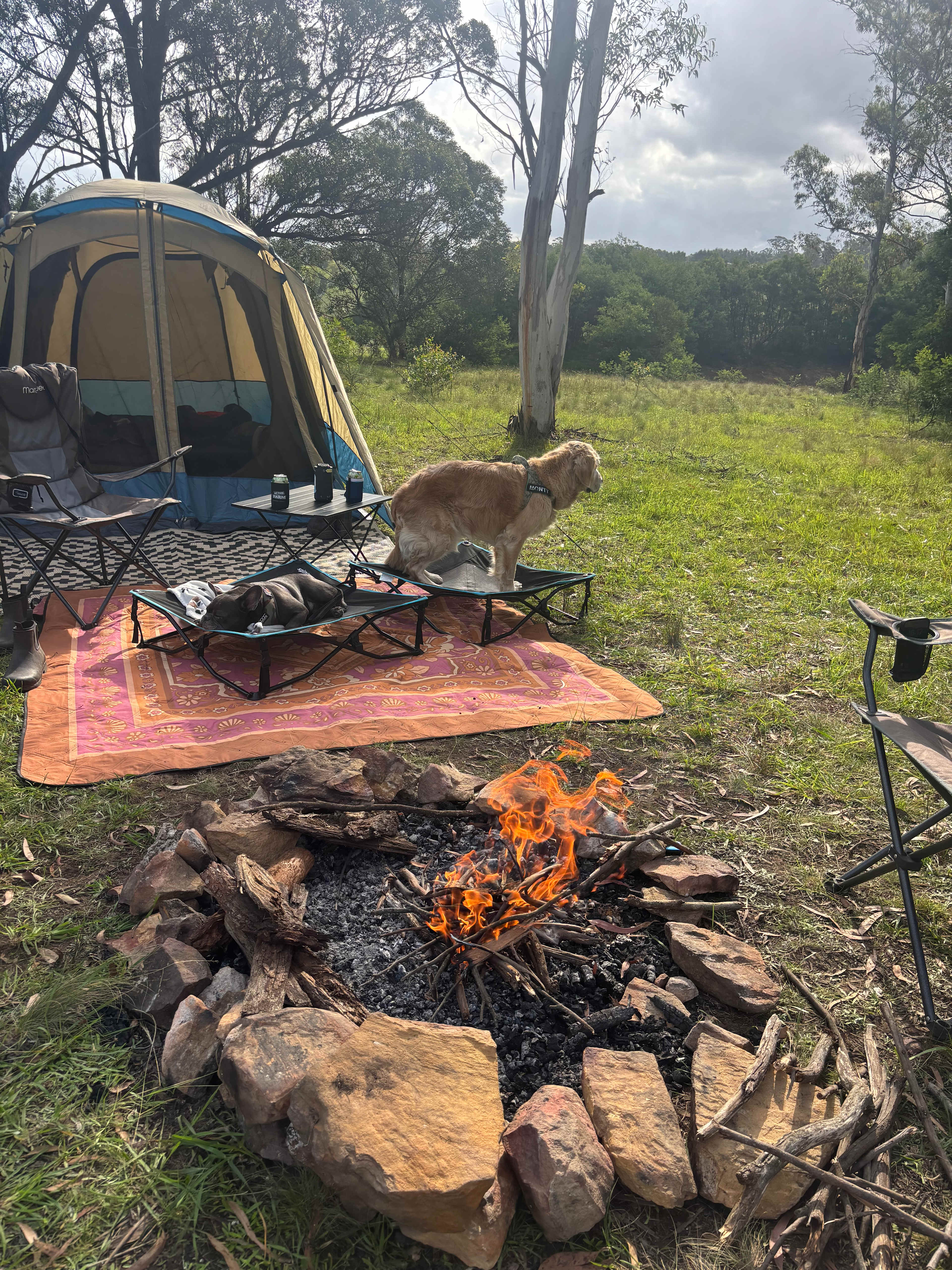 Joadja Gorge Retreat & Camping