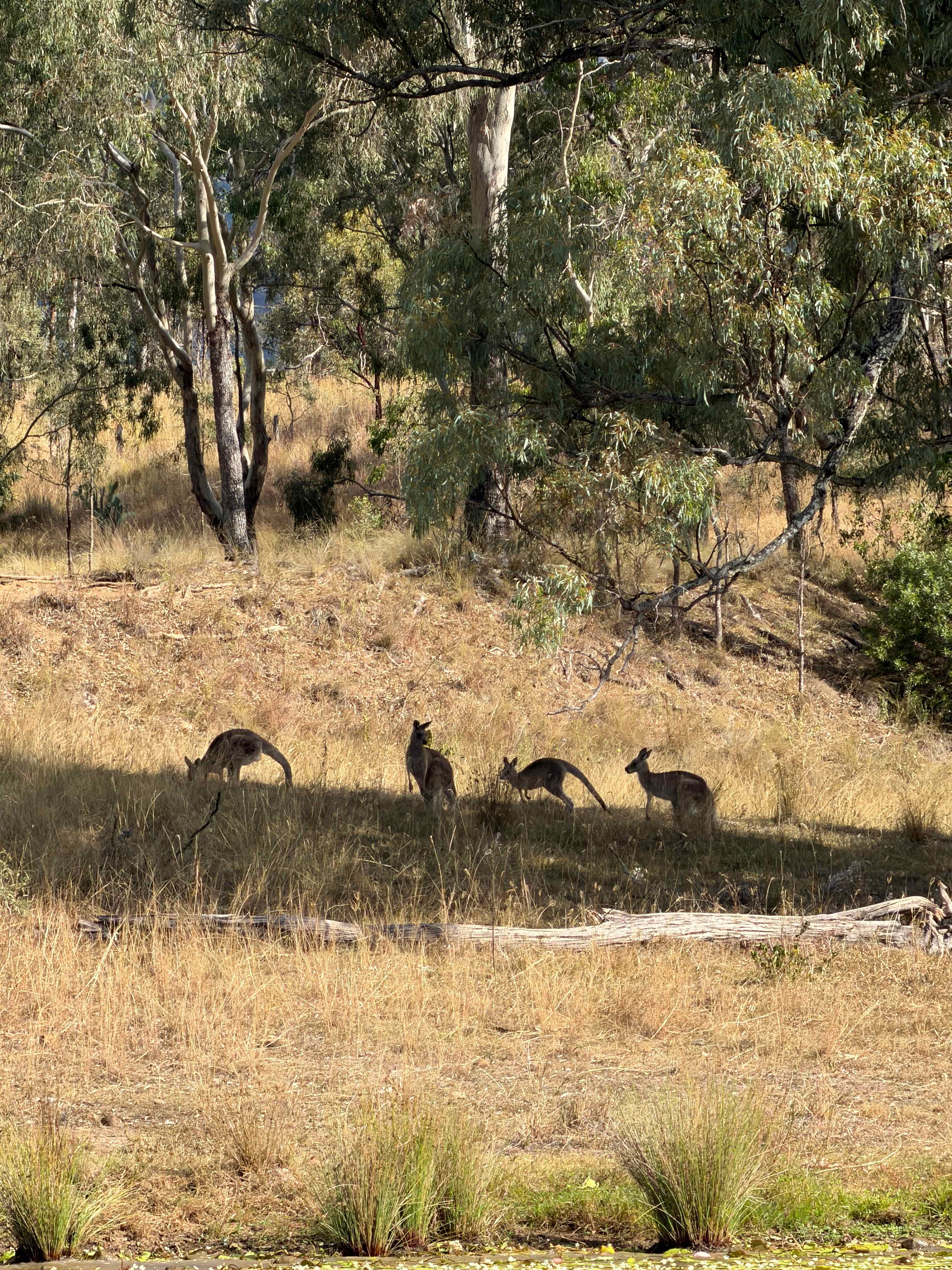 Pointro Bunkhouse and Campground
