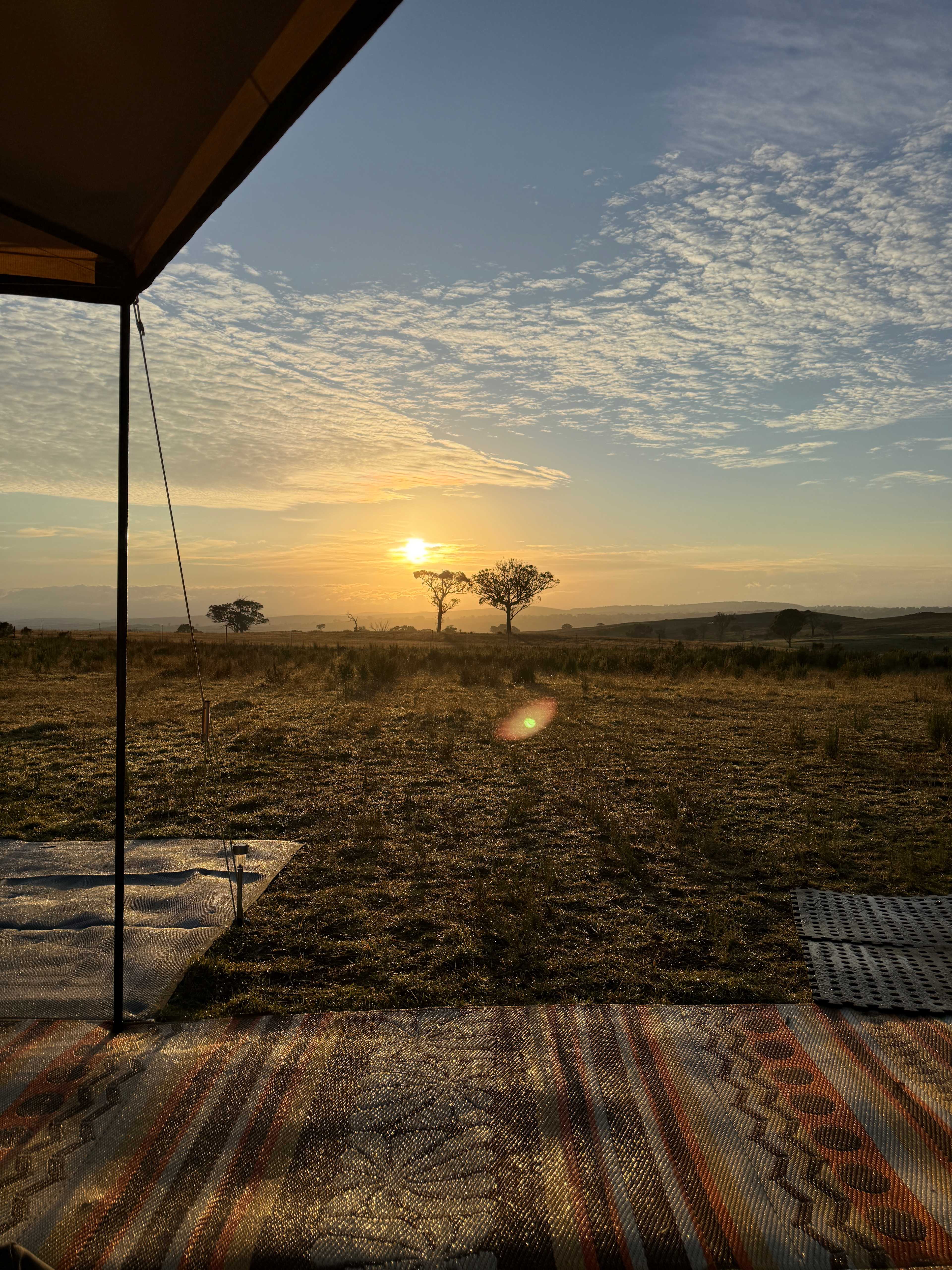 Views from site 