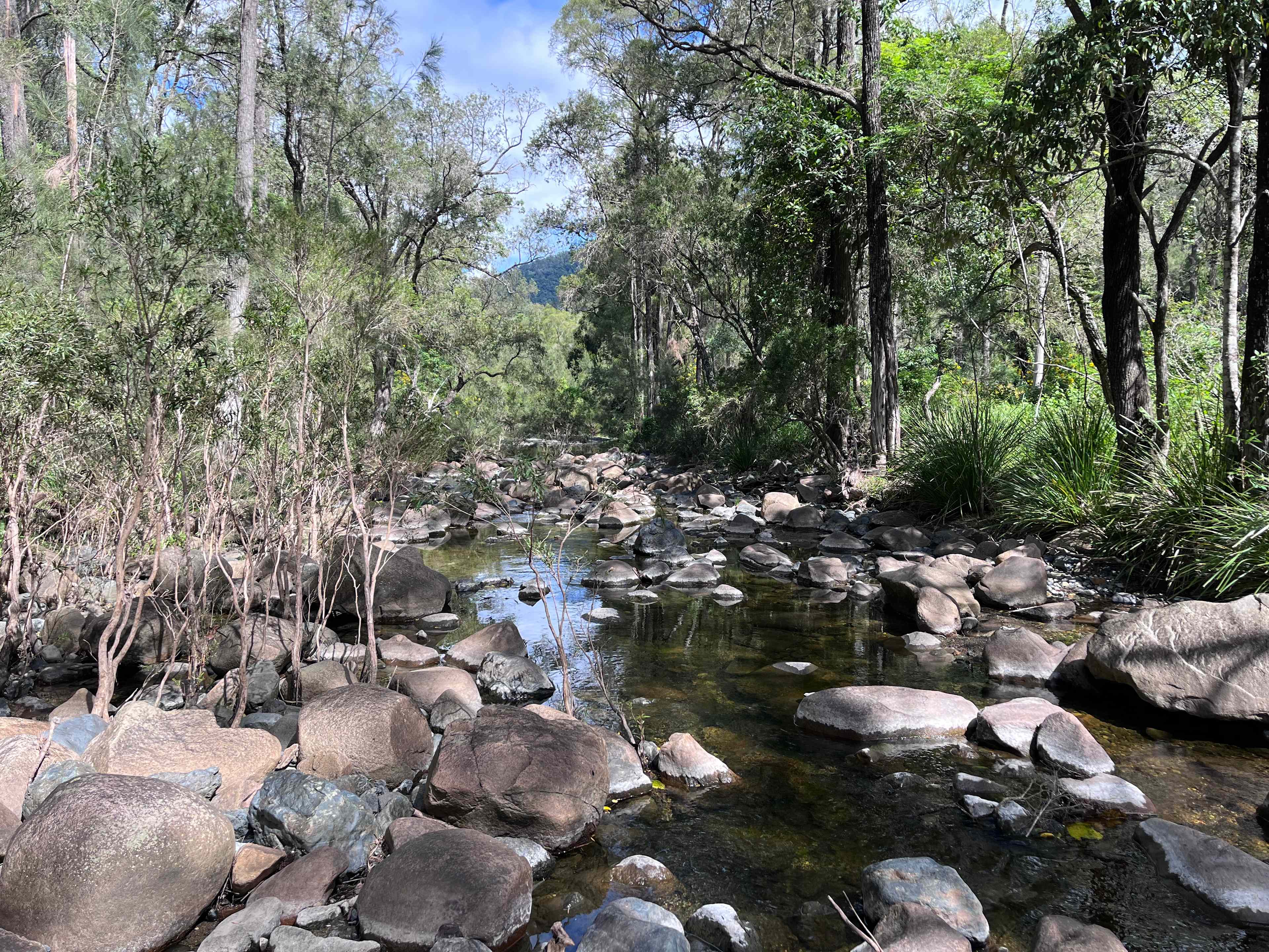 Bellbird Lodge