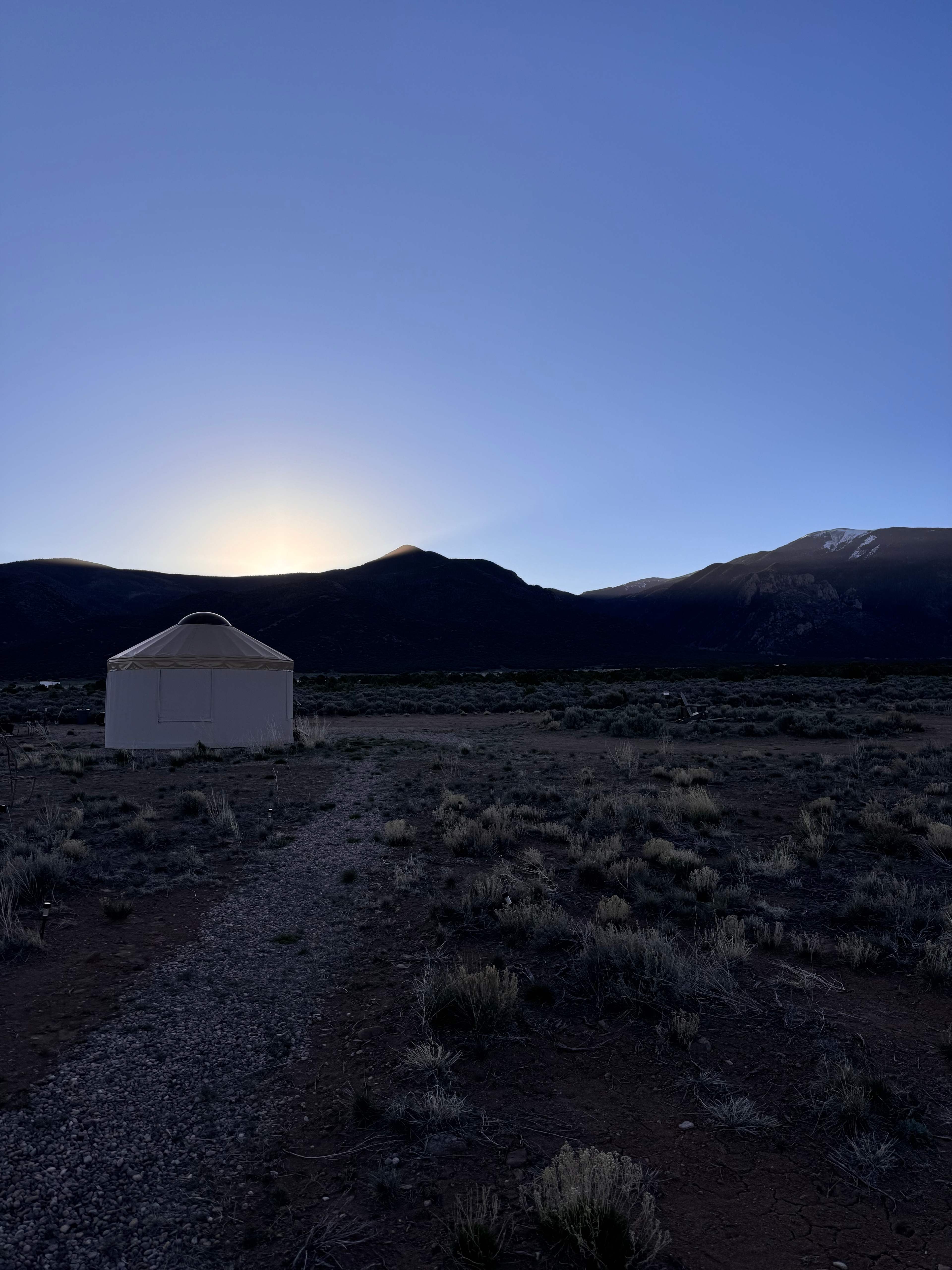 The Mushroom Yurt
