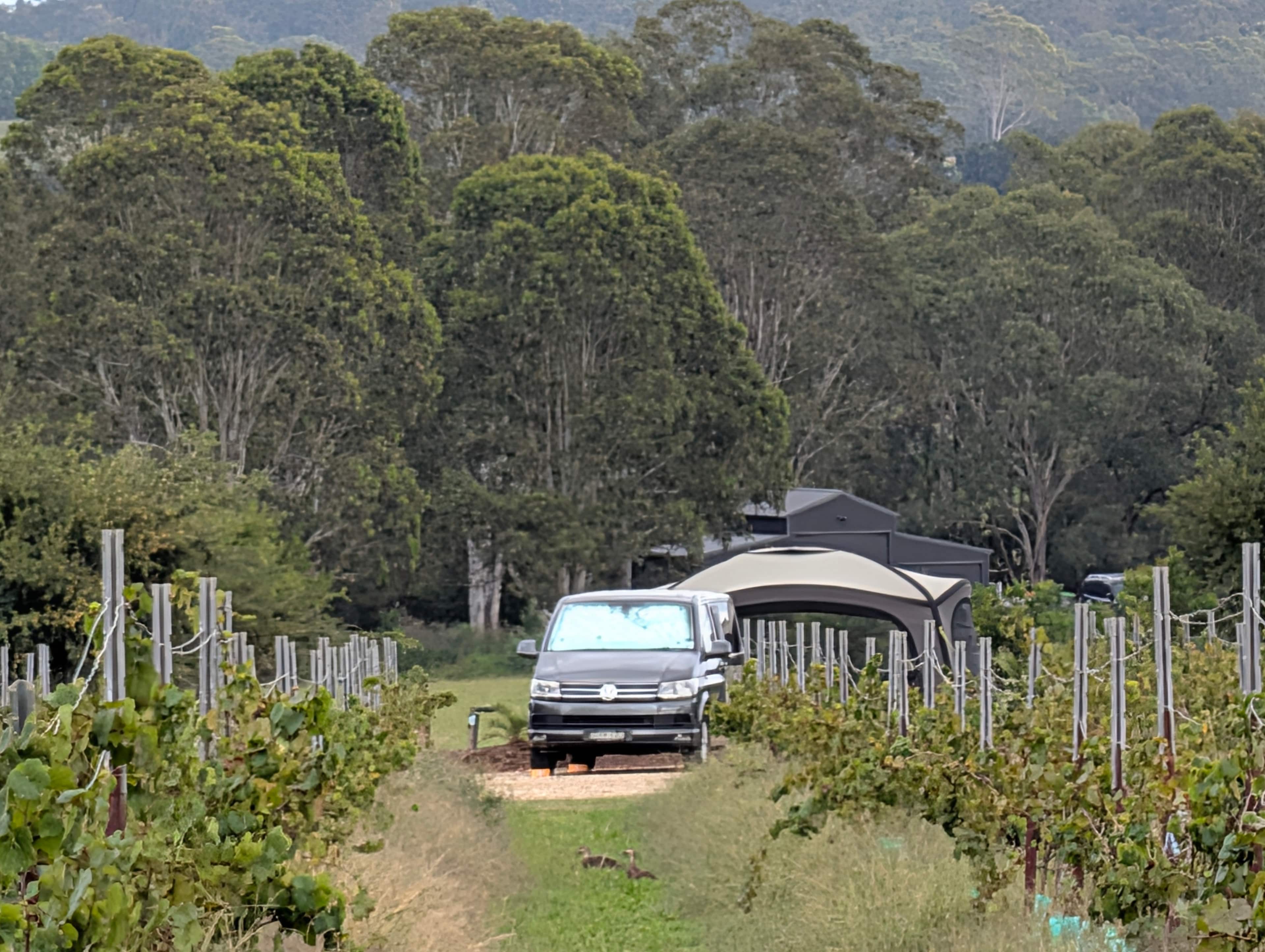 Domaine De Binet