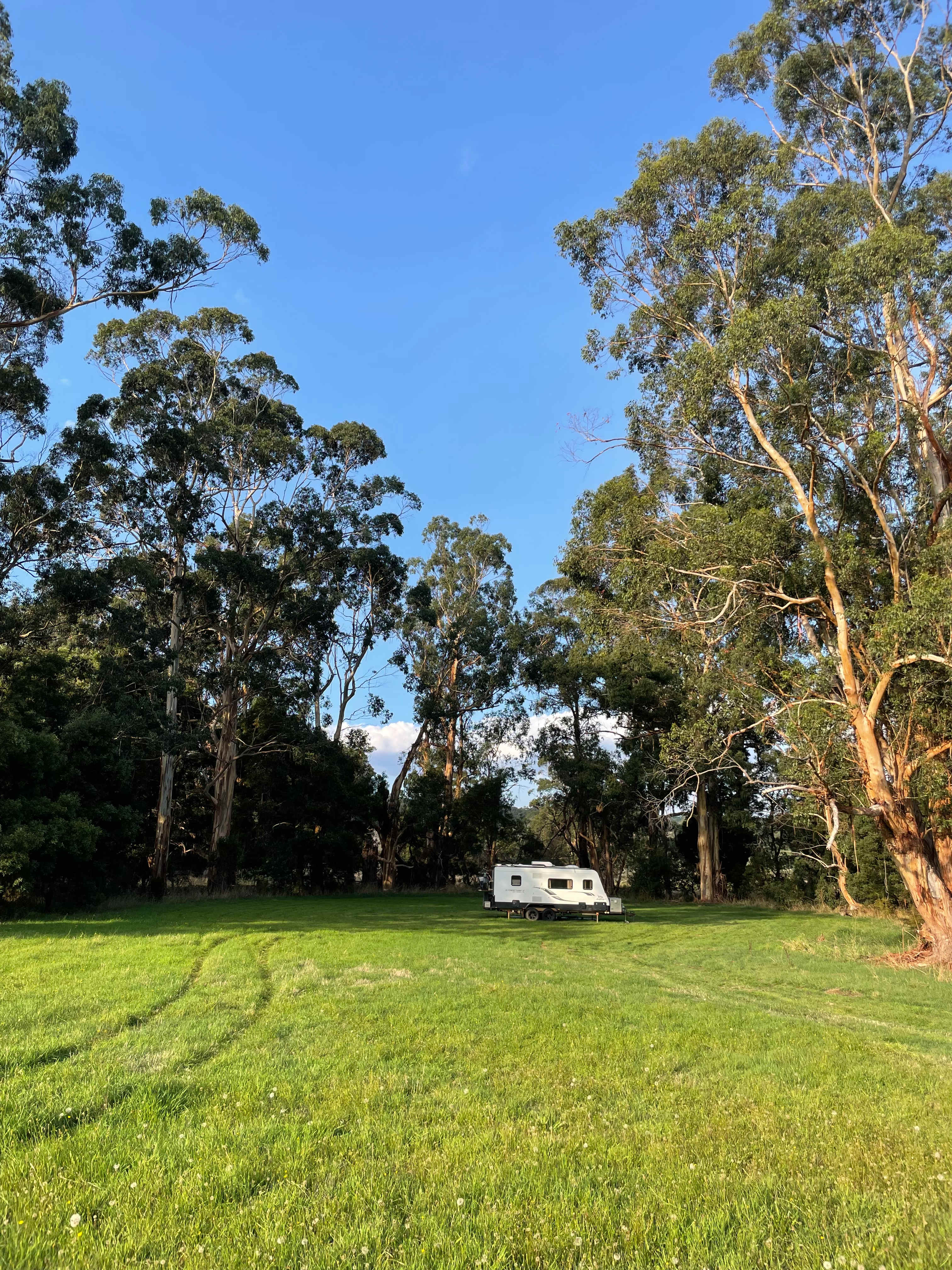 Platypus Creek
