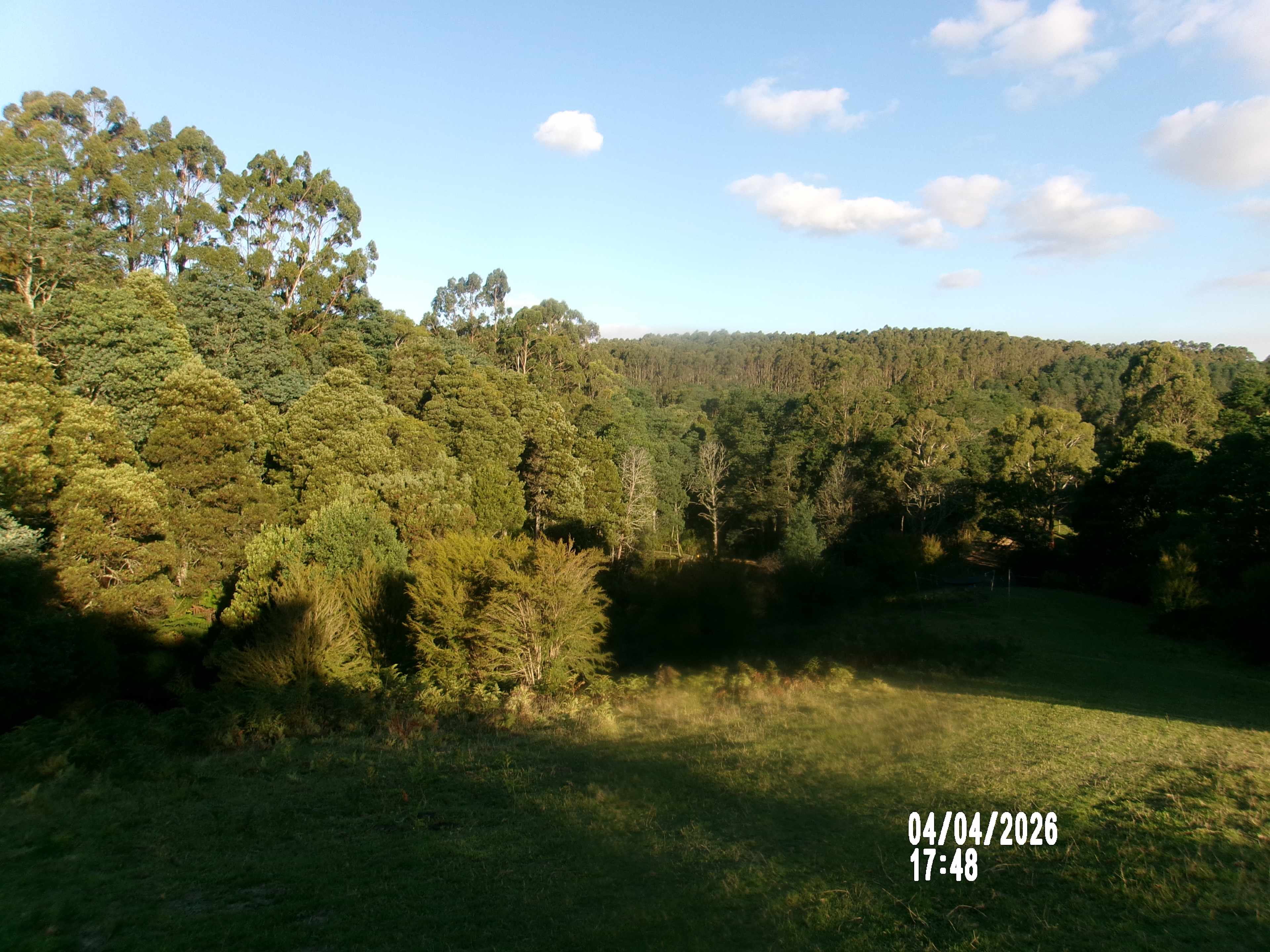 Mountain Life Retreat